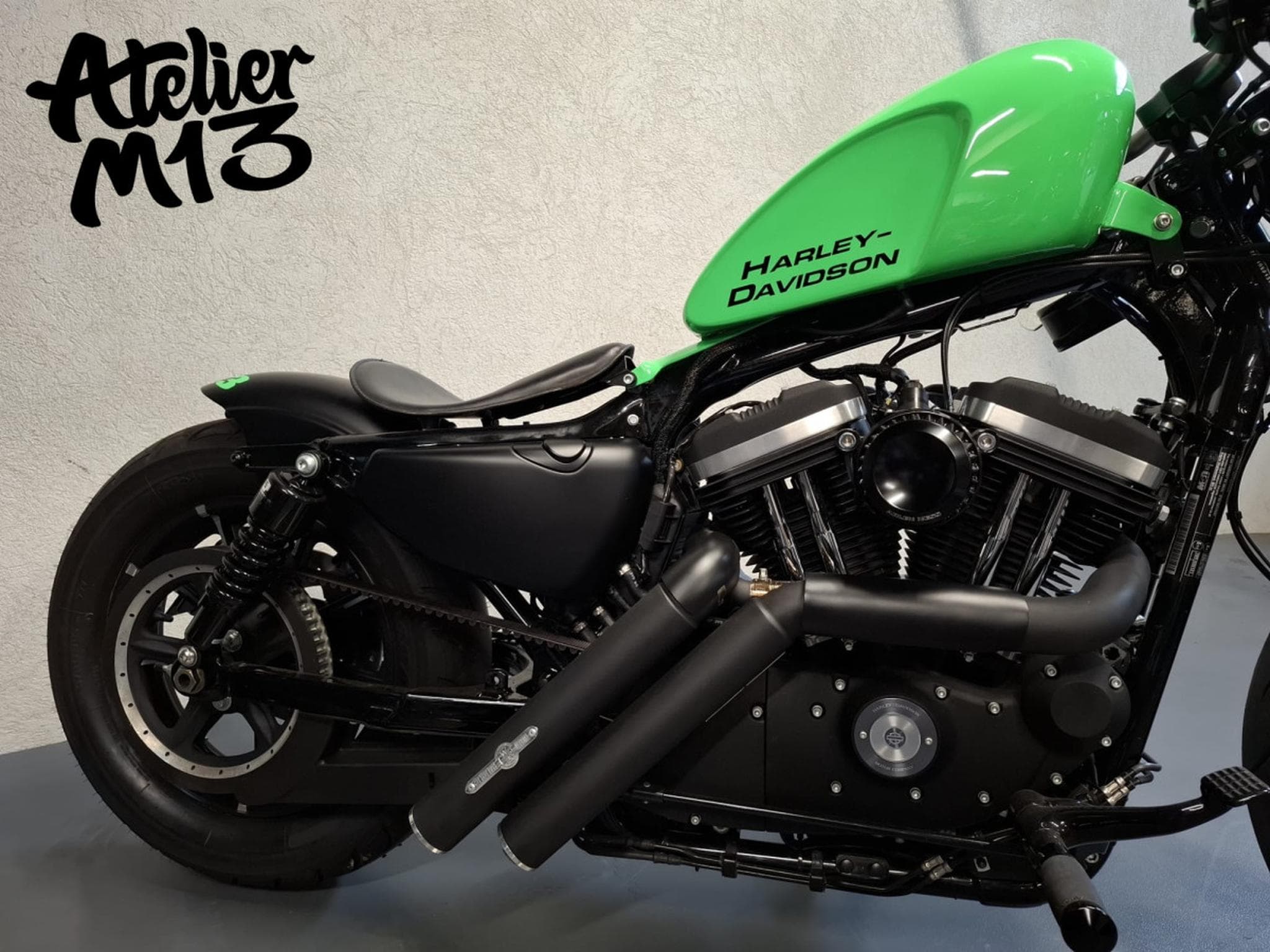 Harley-Davidson Sportster XL883N Green Racing (2015) - Photo 16