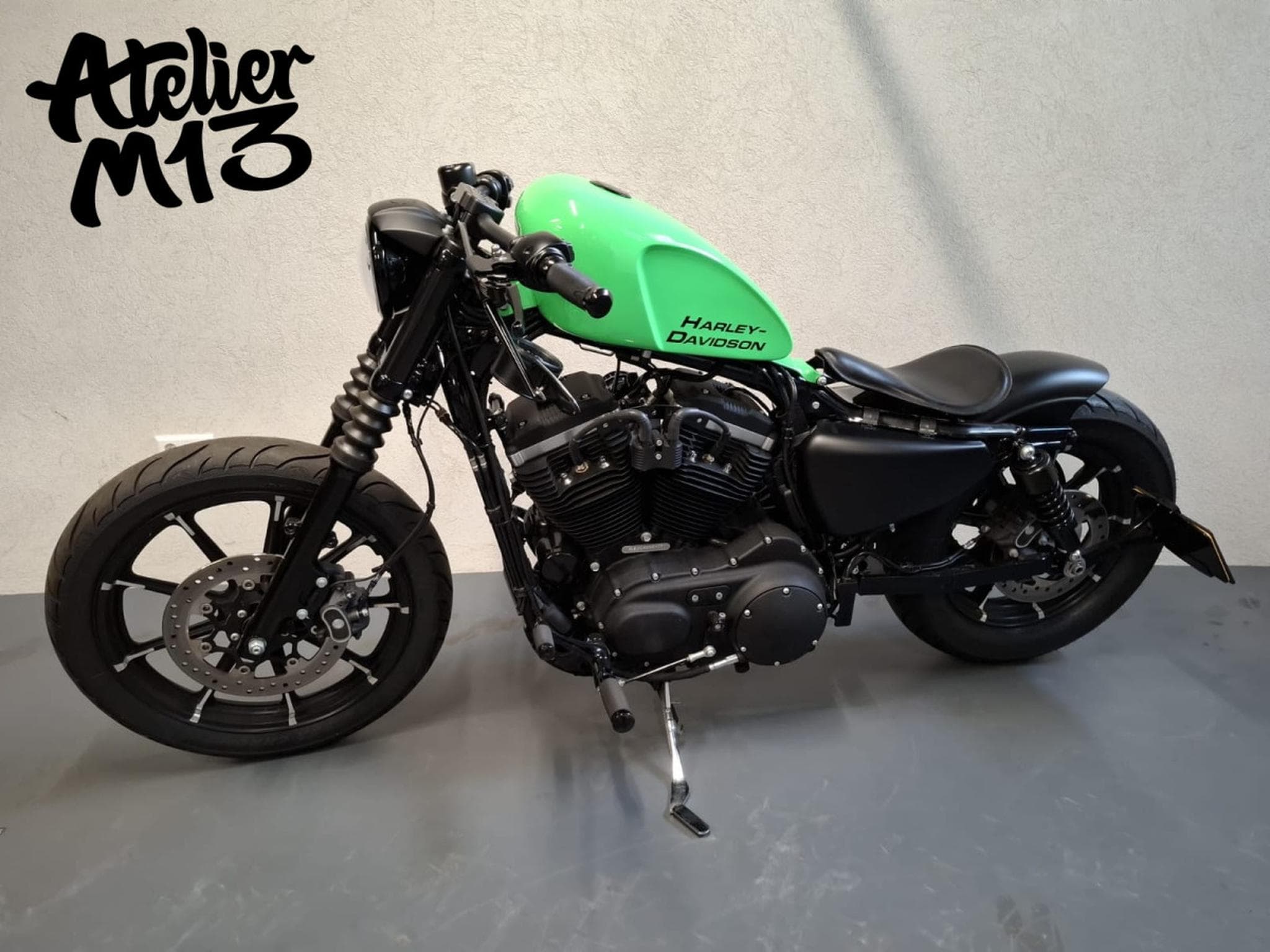 Harley-Davidson Sportster XL883N Green Racing (2015) - Photo 2