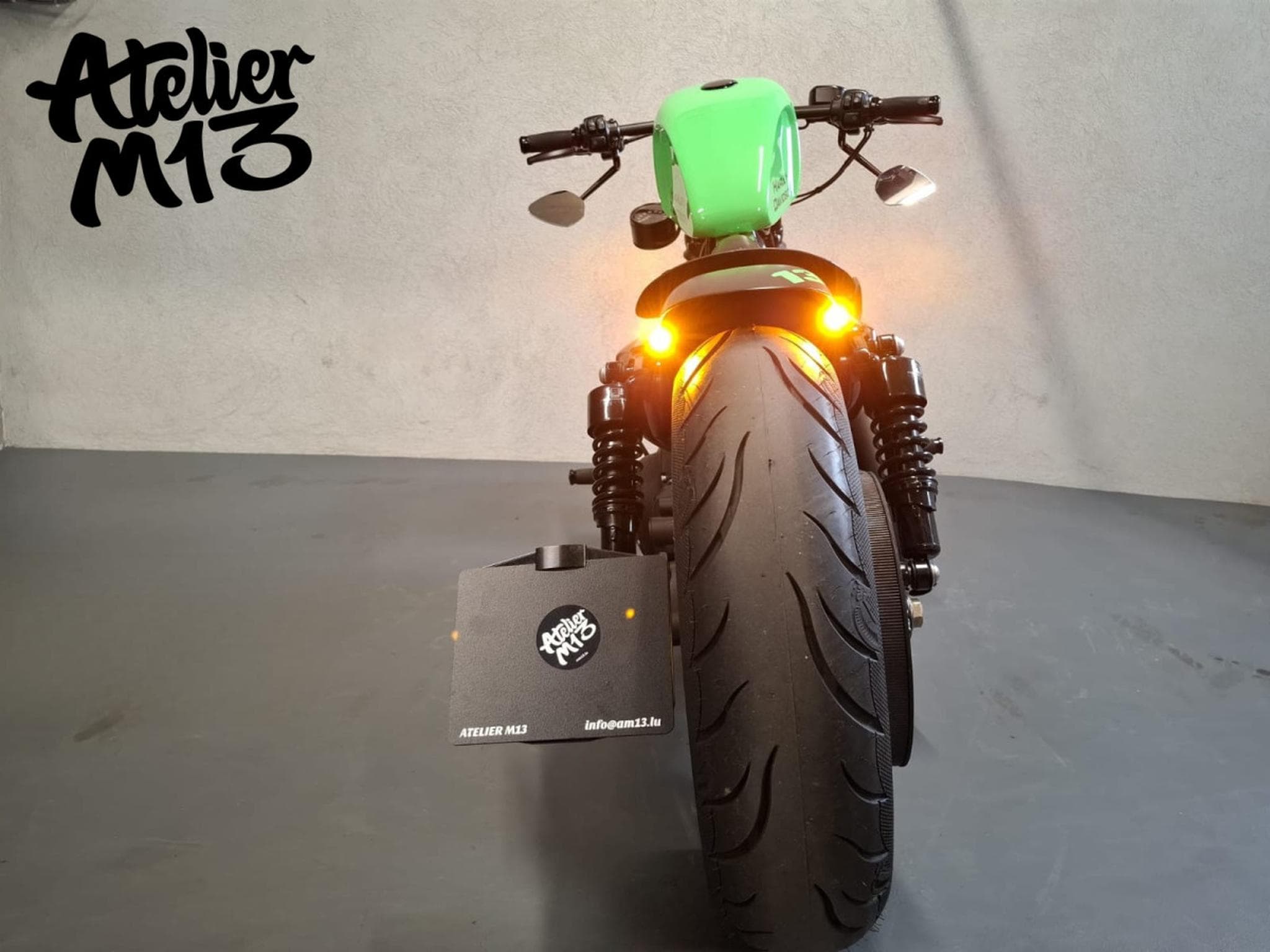 Harley-Davidson Sportster XL883N Green Racing (2015) - Photo 9
