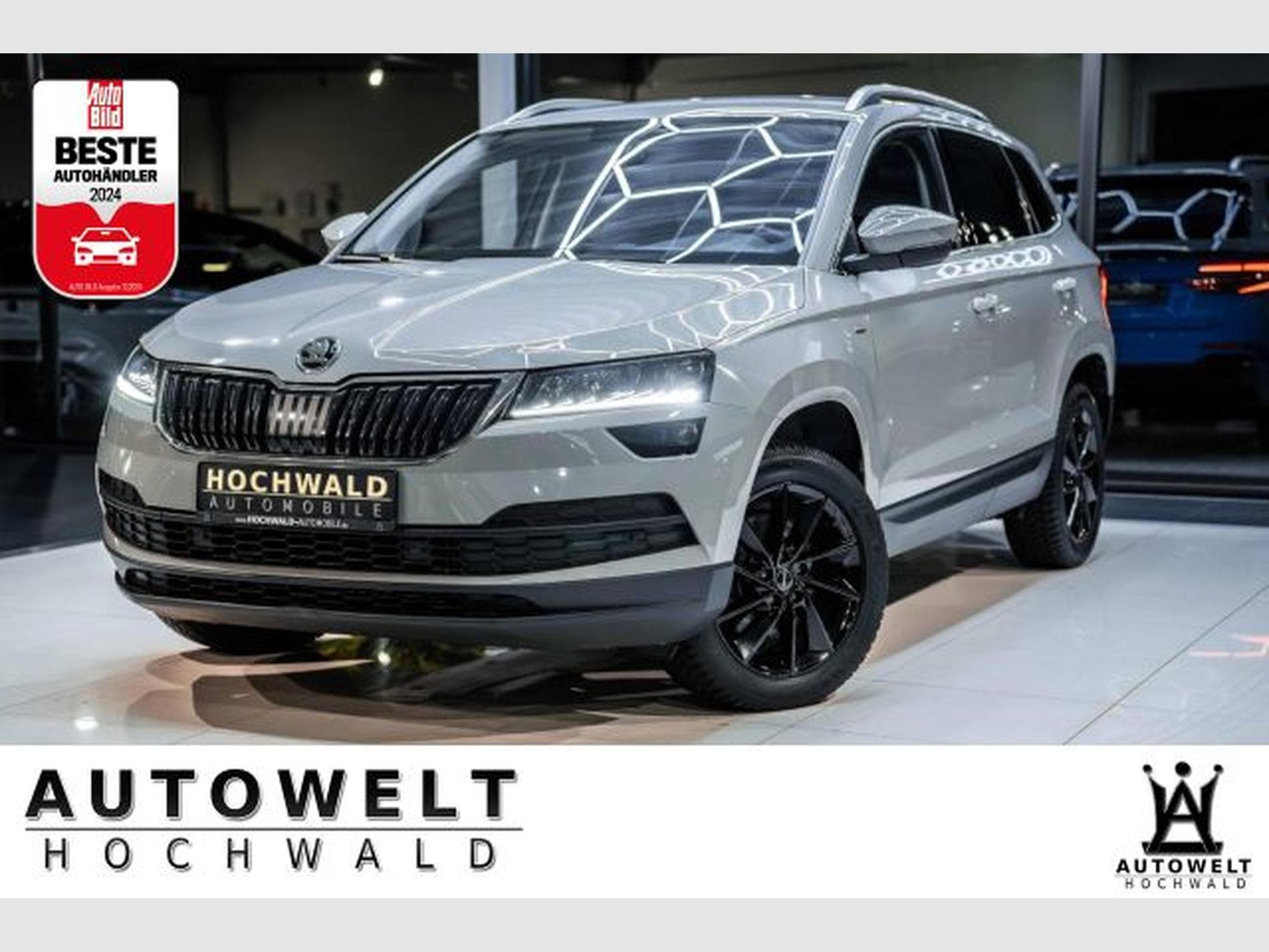 Skoda Karoq Karoq 2.0 TDI 4x4 DSG Clever NAV LED RFK AHK SHZ (2022) - Photo 1