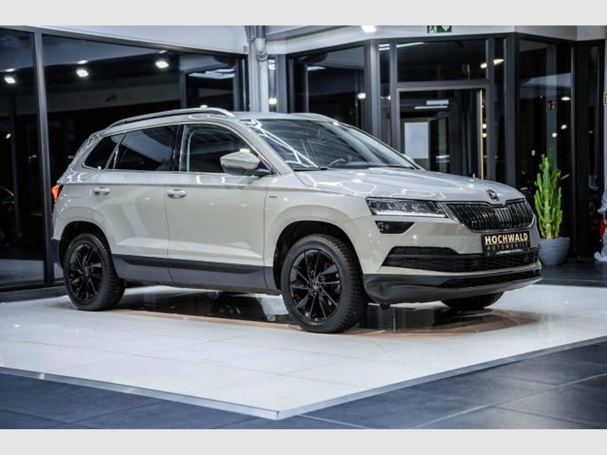 Skoda Karoq Karoq 2.0 TDI 4x4 DSG Clever NAV LED RFK AHK SHZ (2022) - Photo 6
