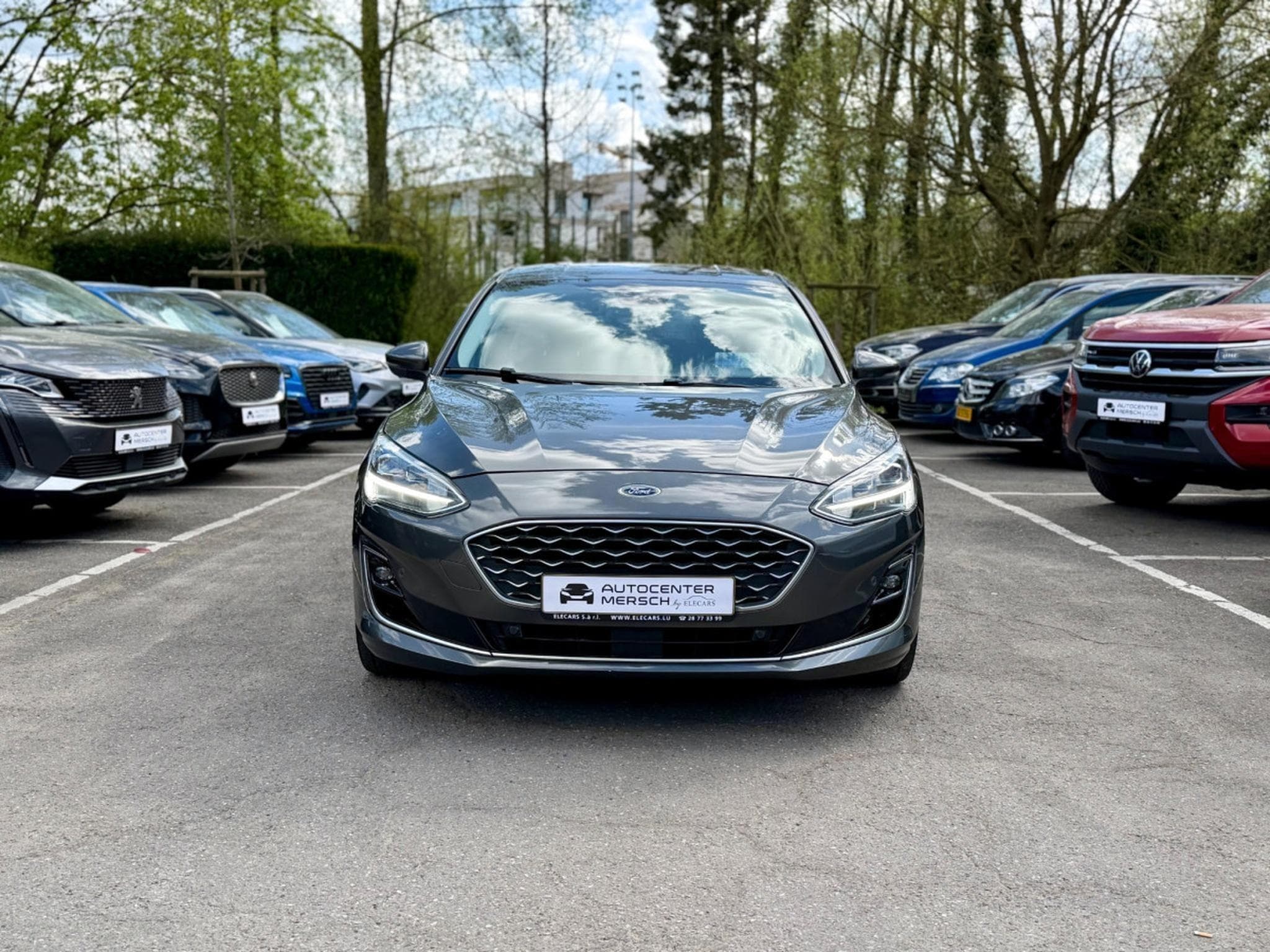 Ford Focus 1.5 EcoBoost 150 Aut. Vignale (2019) - Photo 2