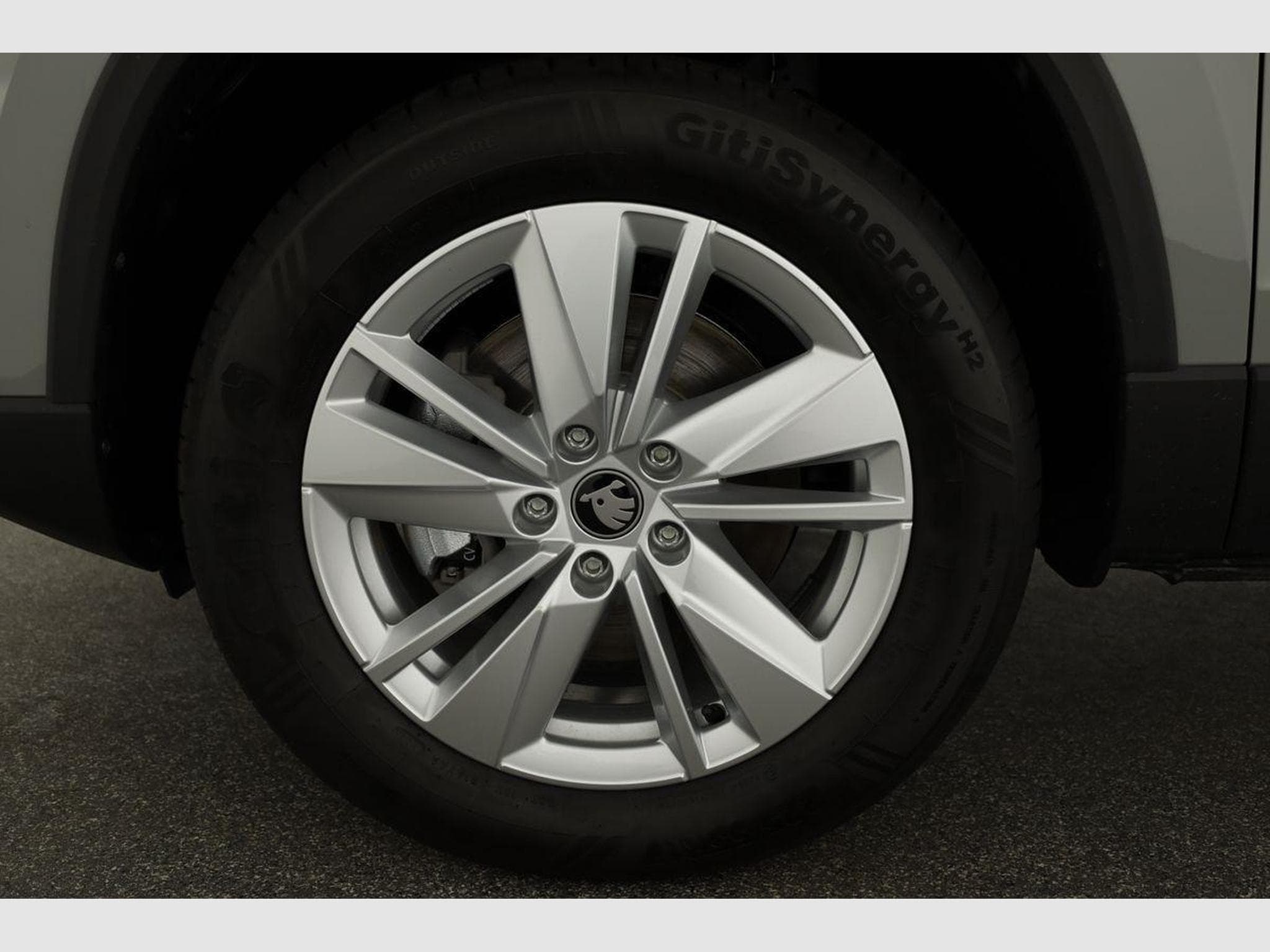 Skoda Karoq Selection 4x4 (2026) - Photo 15