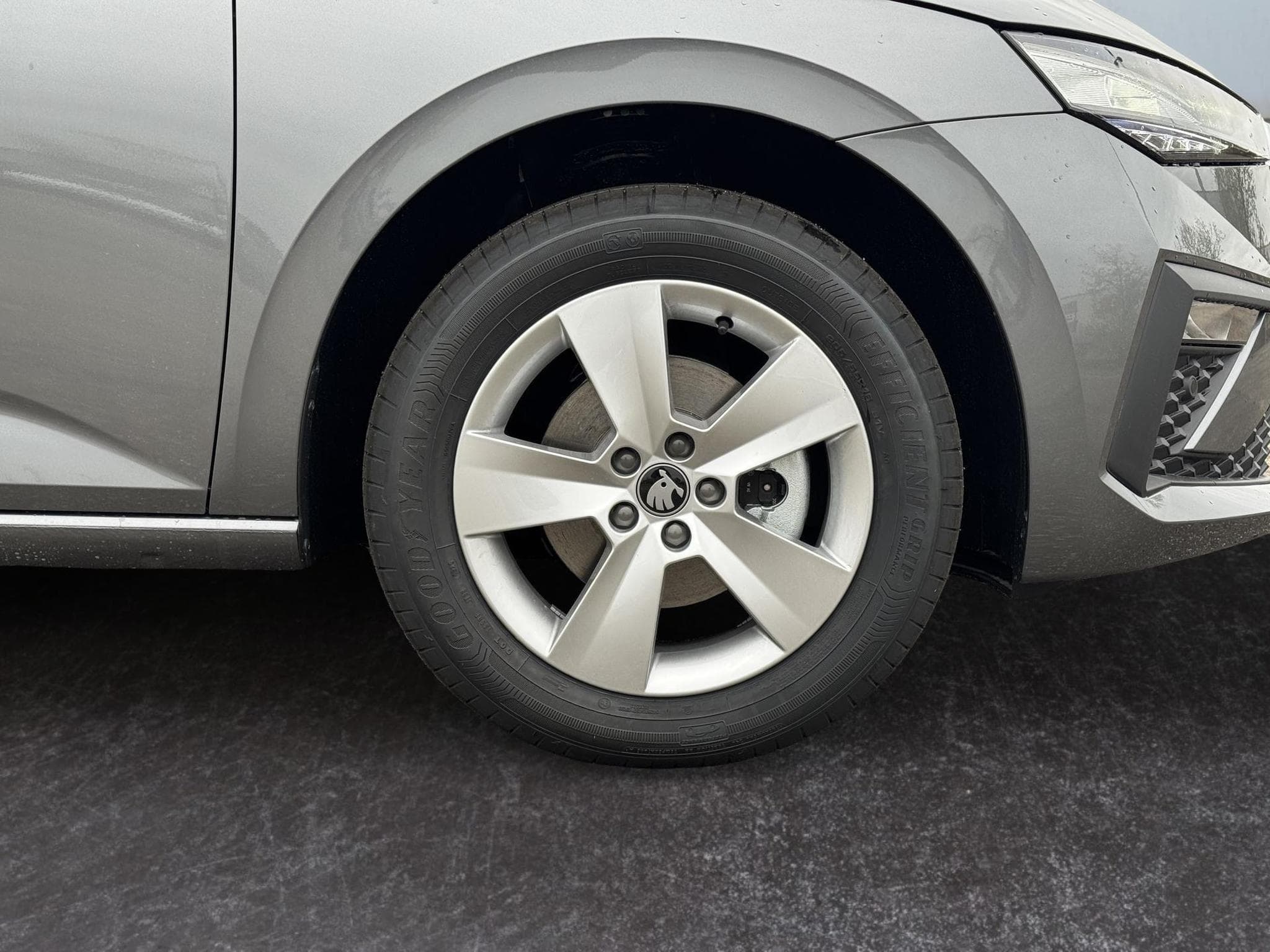 Skoda Scala Extra Plus (2026) - Photo 7