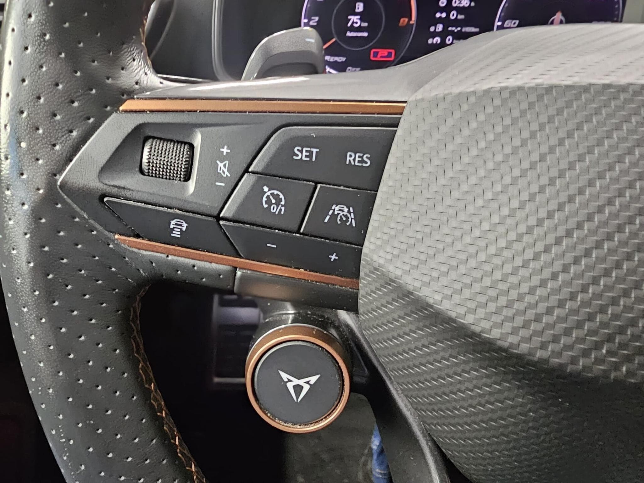 Cupra Leon SP VZ CUP 2.0 TSI 300 CH (2024) - Photo 13