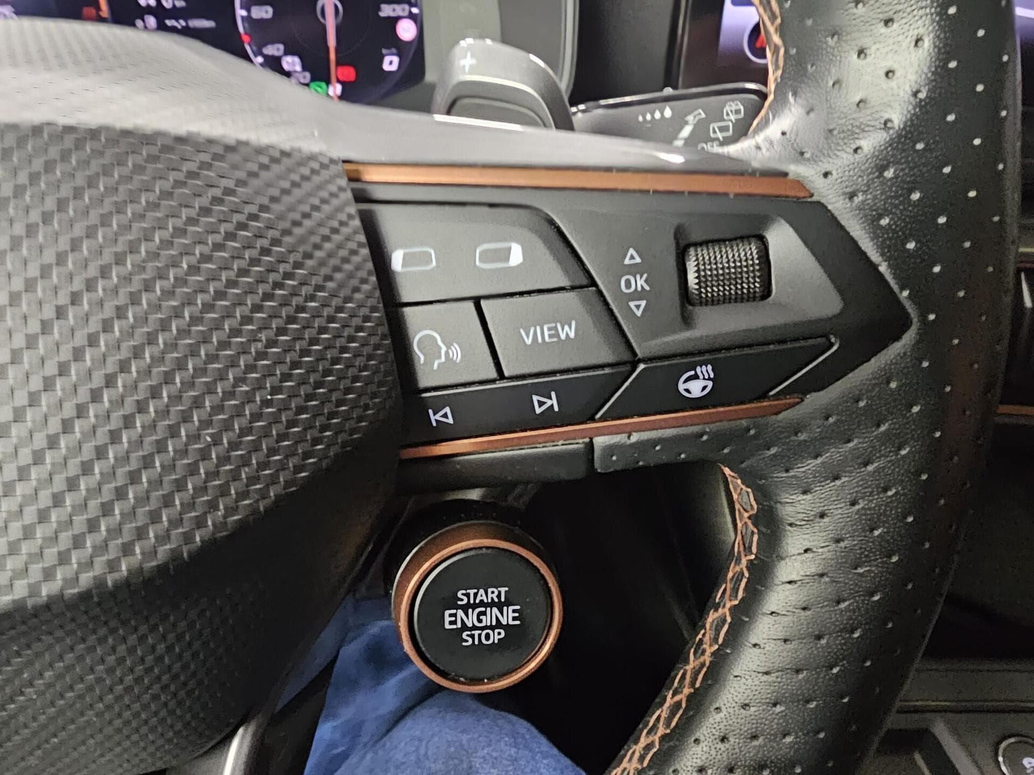 Cupra Leon SP VZ CUP 2.0 TSI 300 CH (2024) - Photo 14