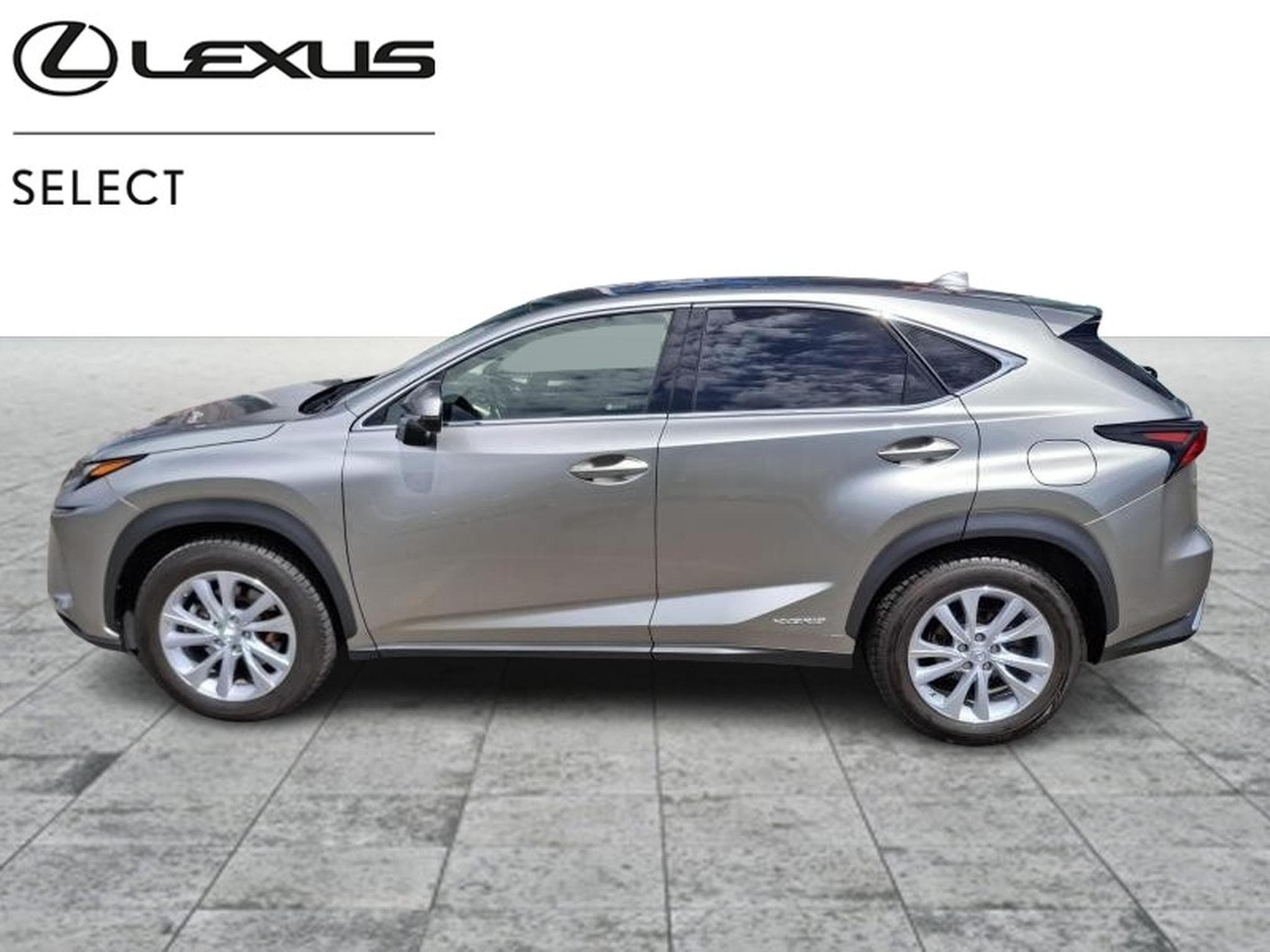 Lexus NX Executive (2020) - Photo 2