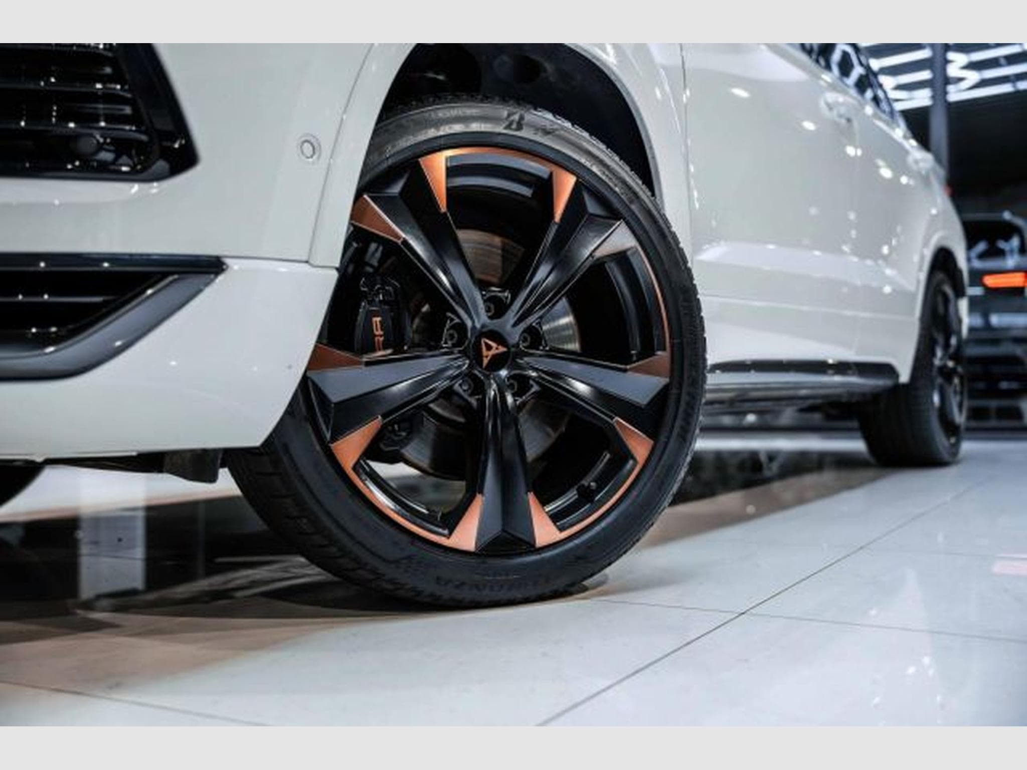Cupra Ateca Ateca VZ 4Drive 2.0 TSI DSG NAVI AKRAPOVIC AHK (2024) - Photo 3