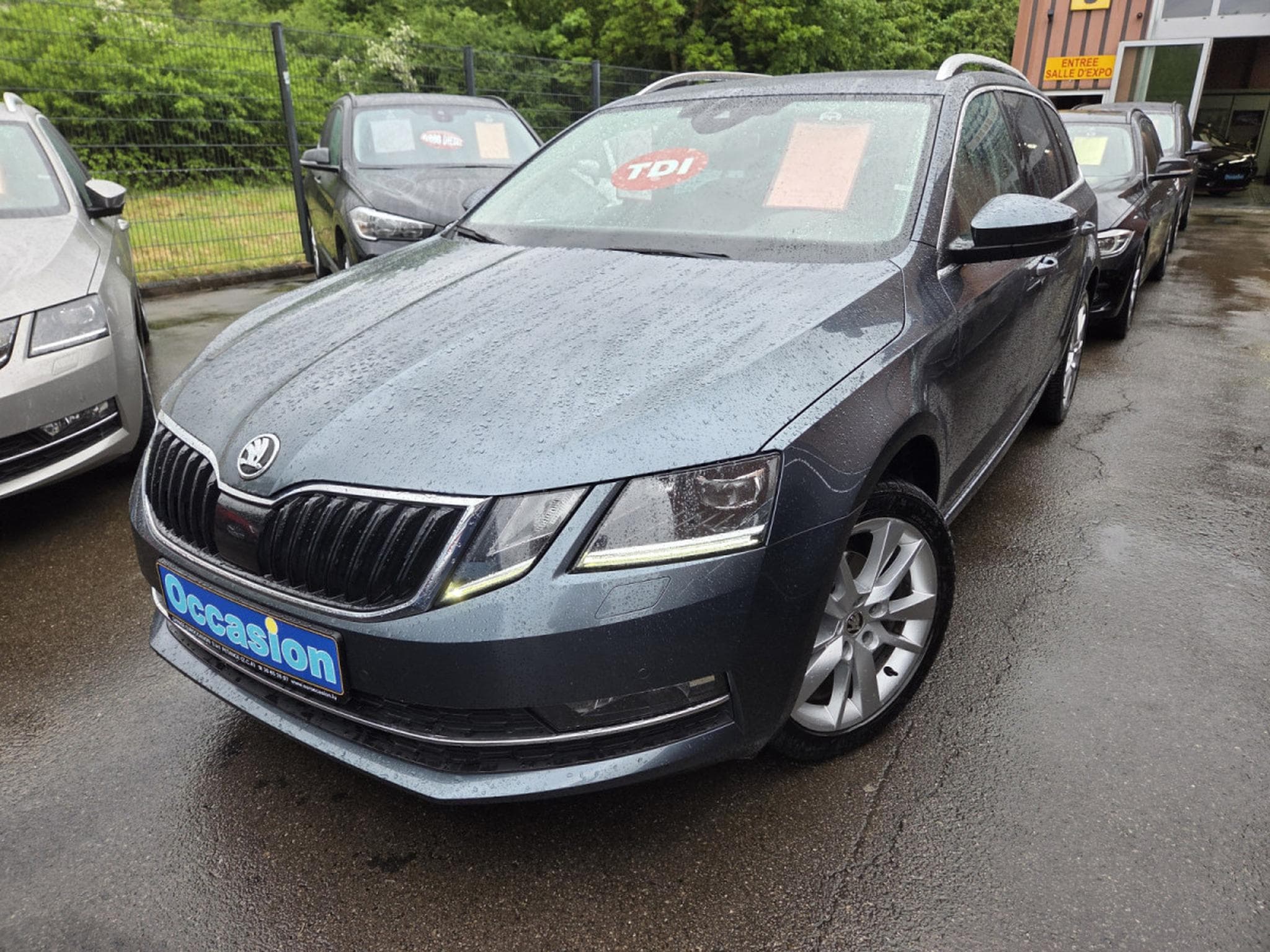 Skoda Octavia BREAK TDI DSG (2019) - Photo 1