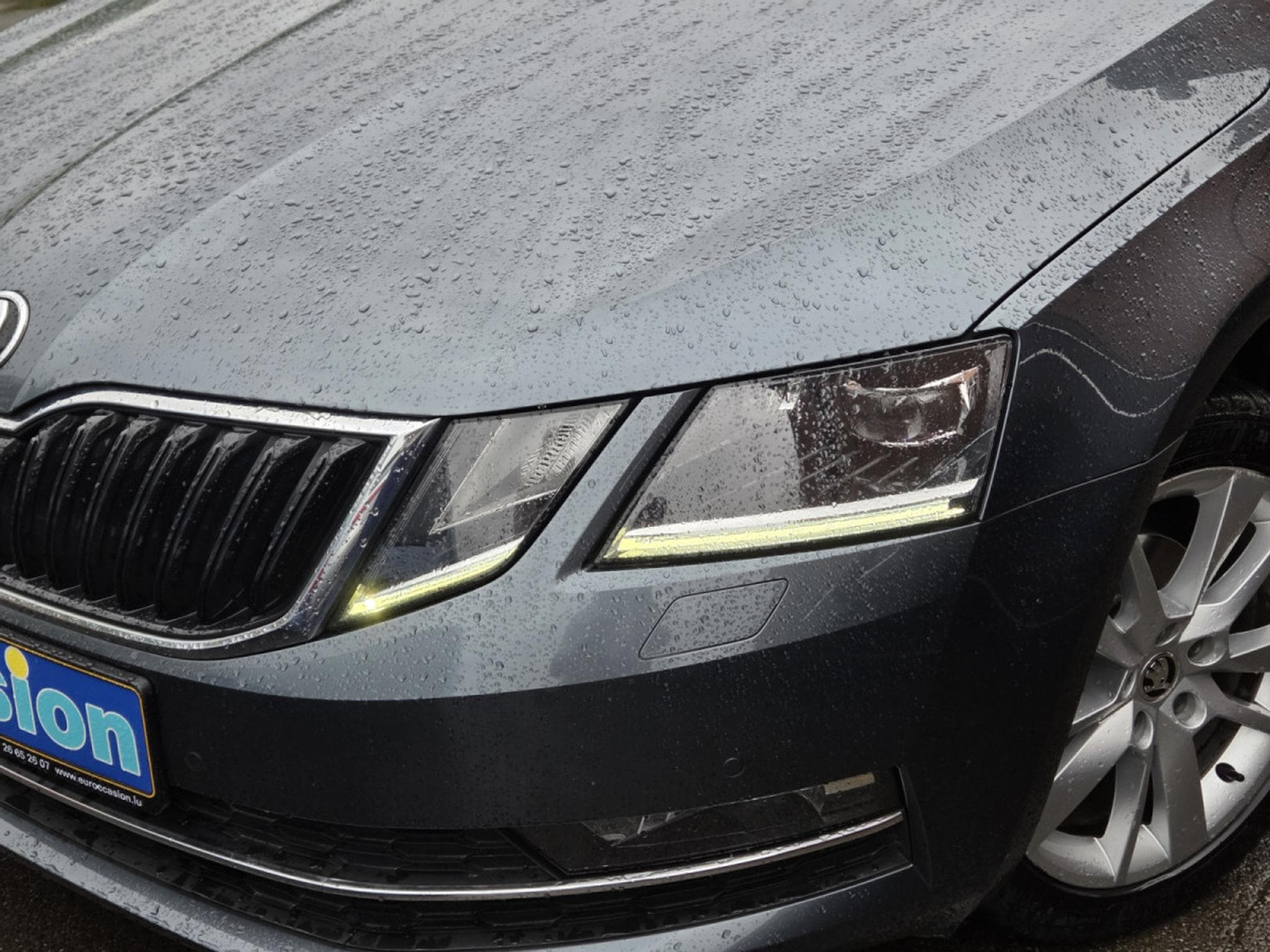 Skoda Octavia BREAK TDI DSG (2019) - Photo 2