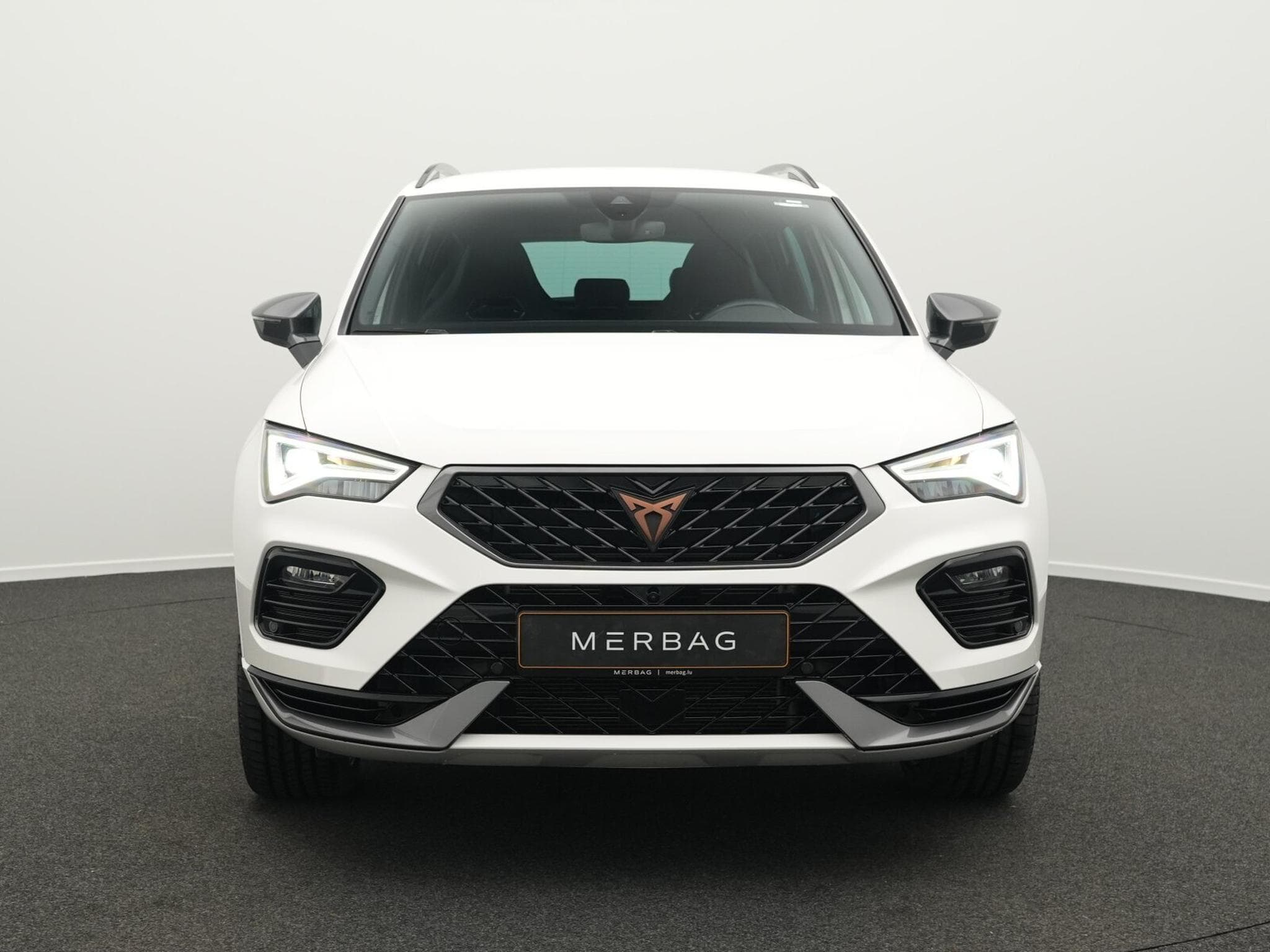 CUPRA Ateca 2.0 TSI VZ 4Drive OPF (2024) - Photo 2