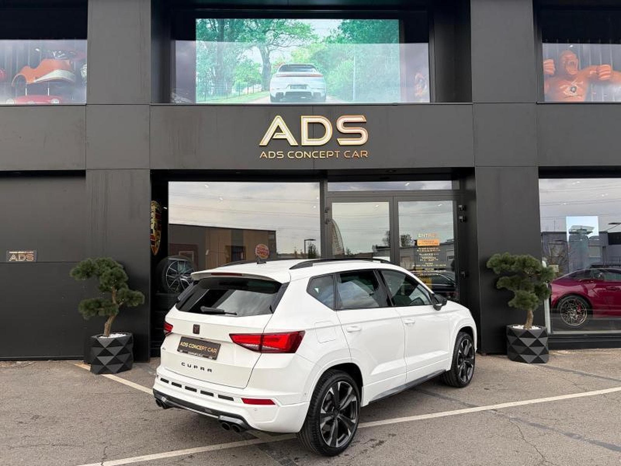 Cupra Ateca BVA/Cam360°/BeatsAudio/Jantes19/AppleCarPlay (2023) - Photo 16