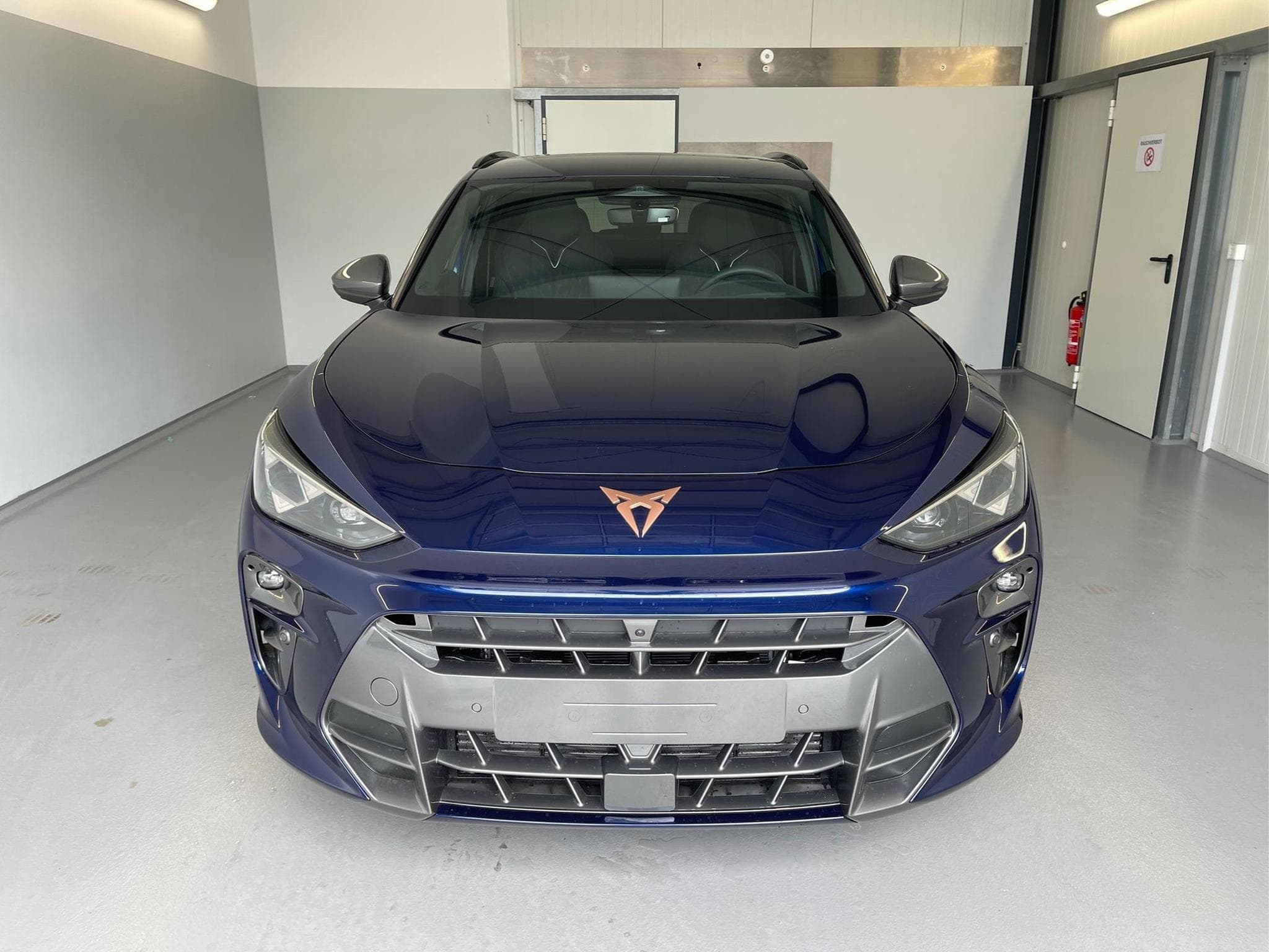 Cupra Terramar Terramar (2026) - Photo 2