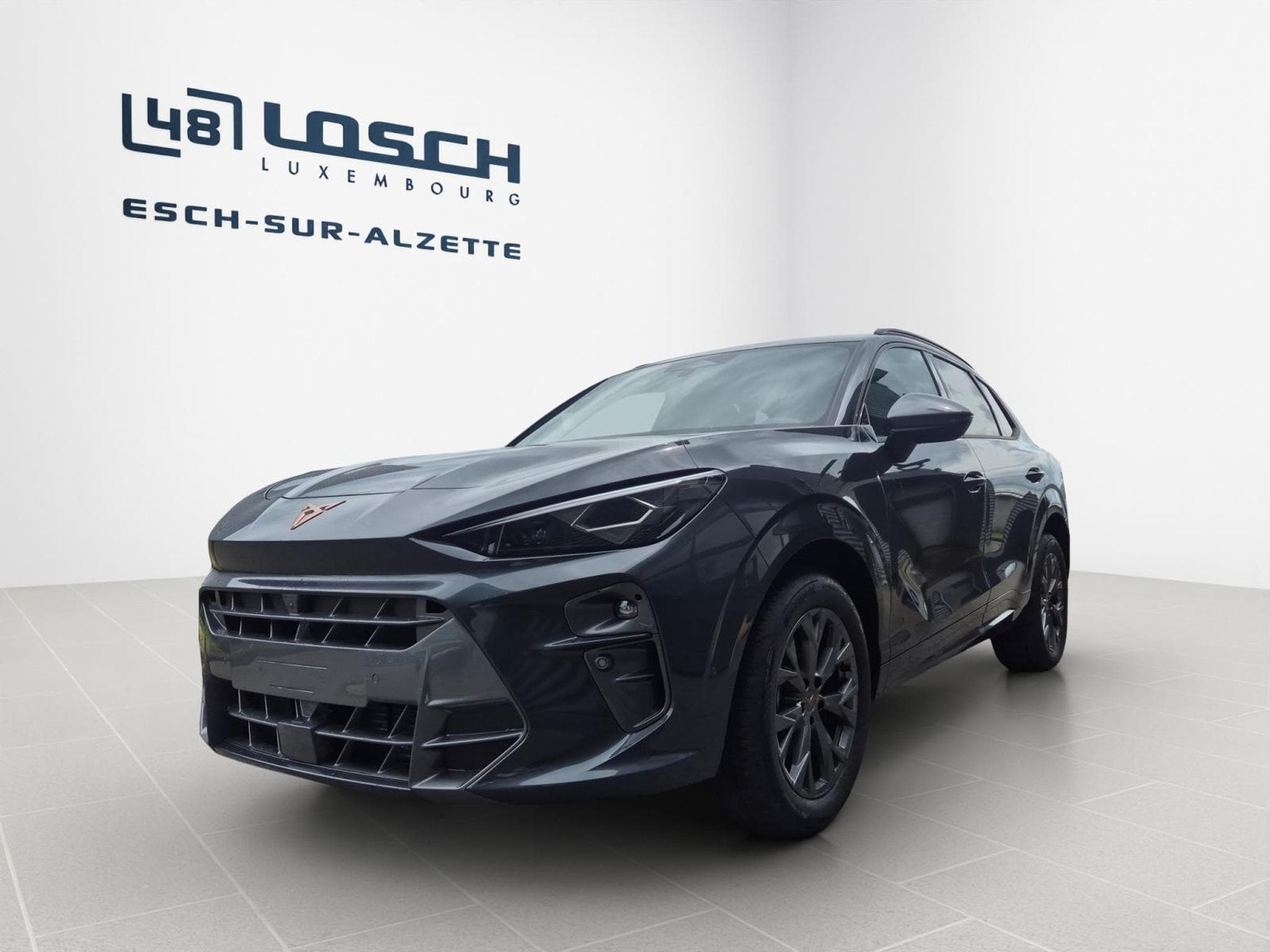 Cupra Terramar 1.5 eTSI 150ch (2026) - Photo 5