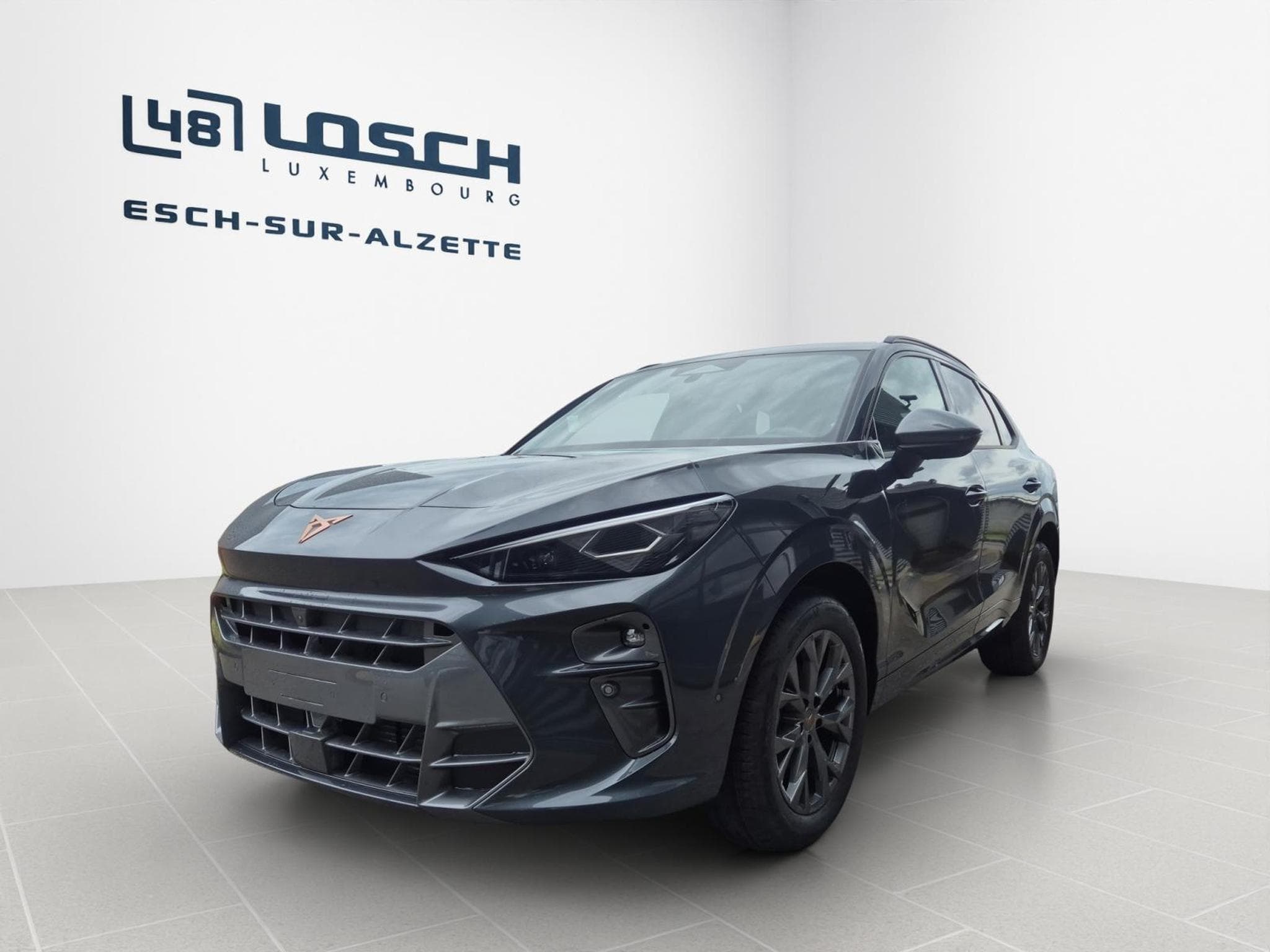 Cupra Terramar 1.5 eTSI 150ch (2026) - Photo 6