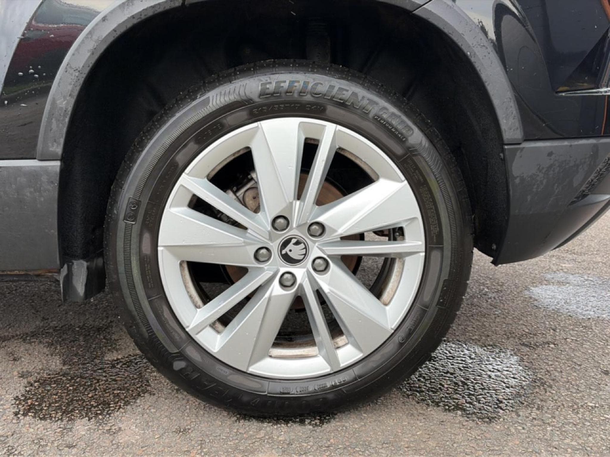 Skoda KAROQ 1.5 TSI 150 SELECTION DSG7 (2025) - Photo 9
