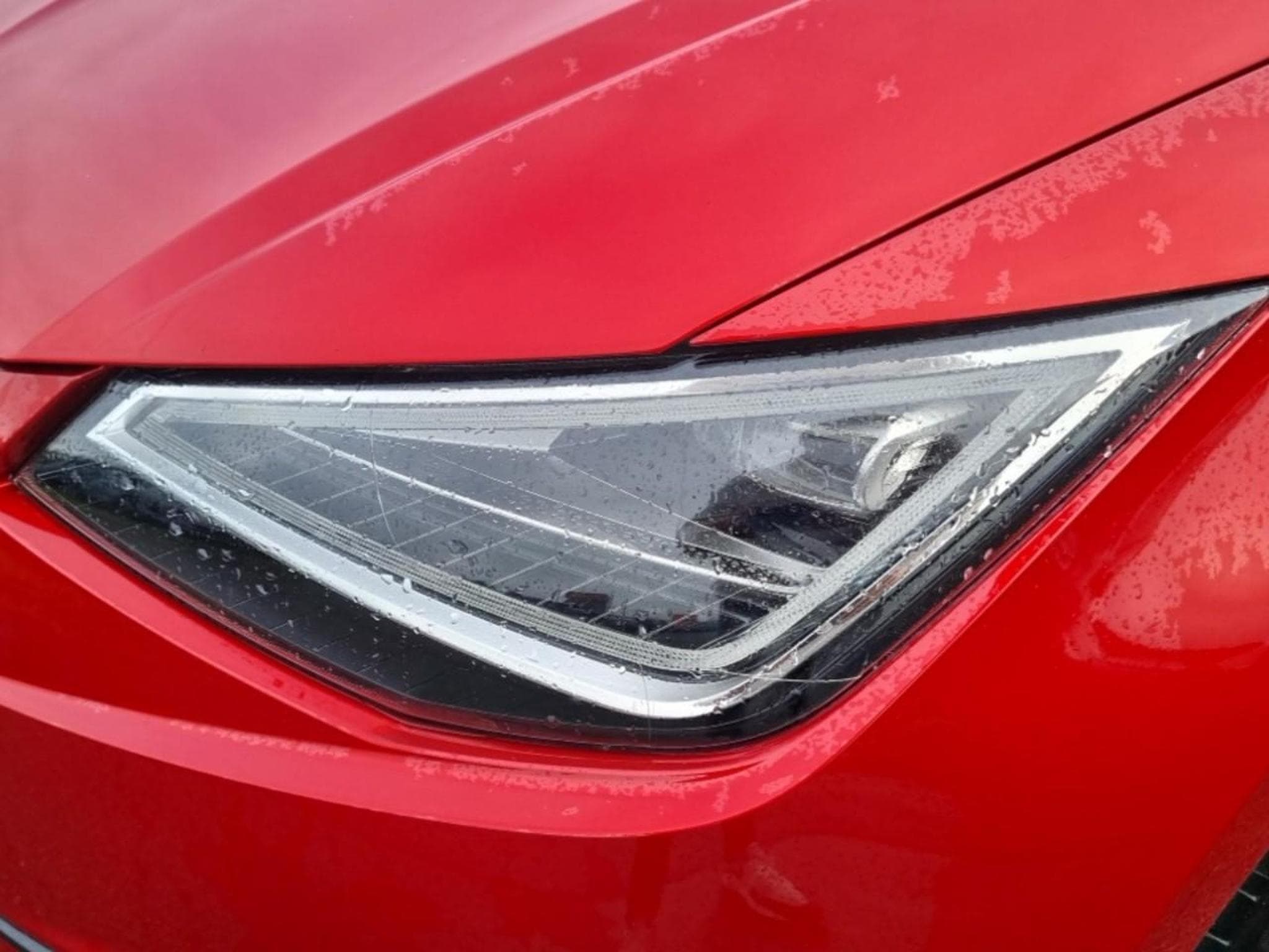 Seat IBIZA 1.0 TSI 95 COPA (2025) - Photo 9