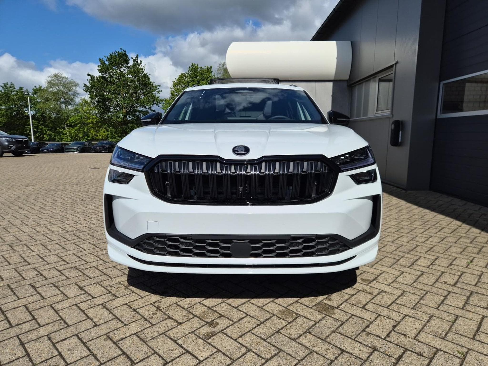 Skoda Kodiaq Sportline (2026) - Photo 8