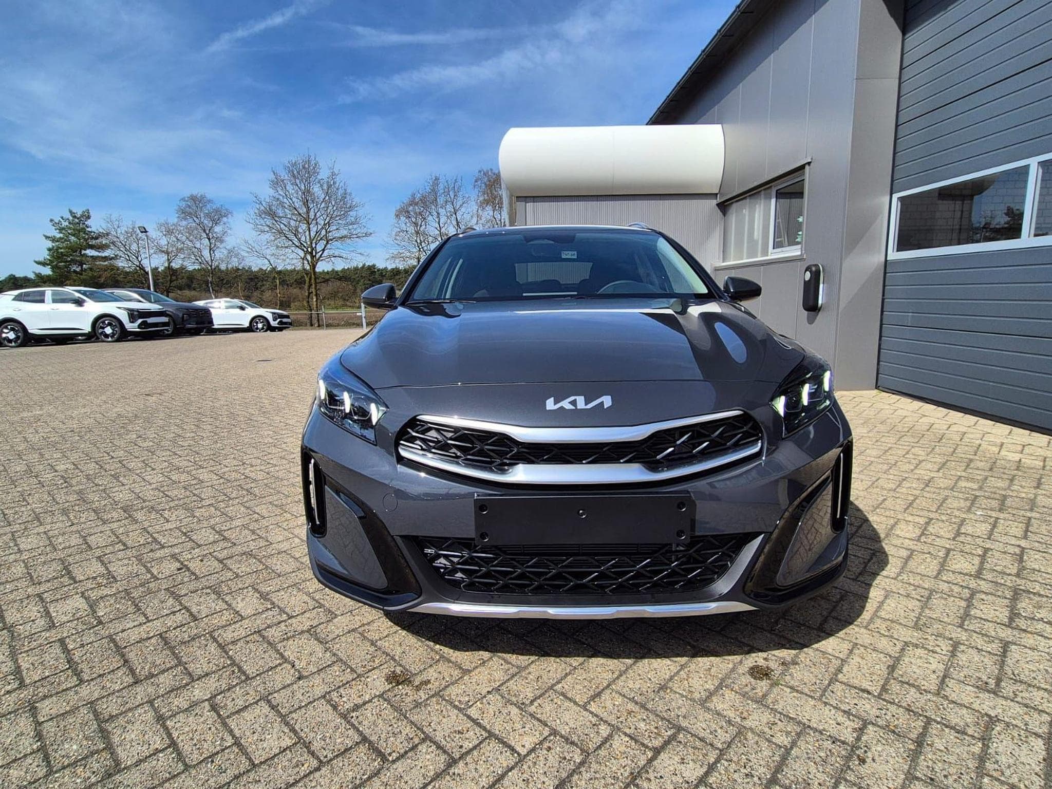 Kia Xceed Standard (2026) - Photo 8
