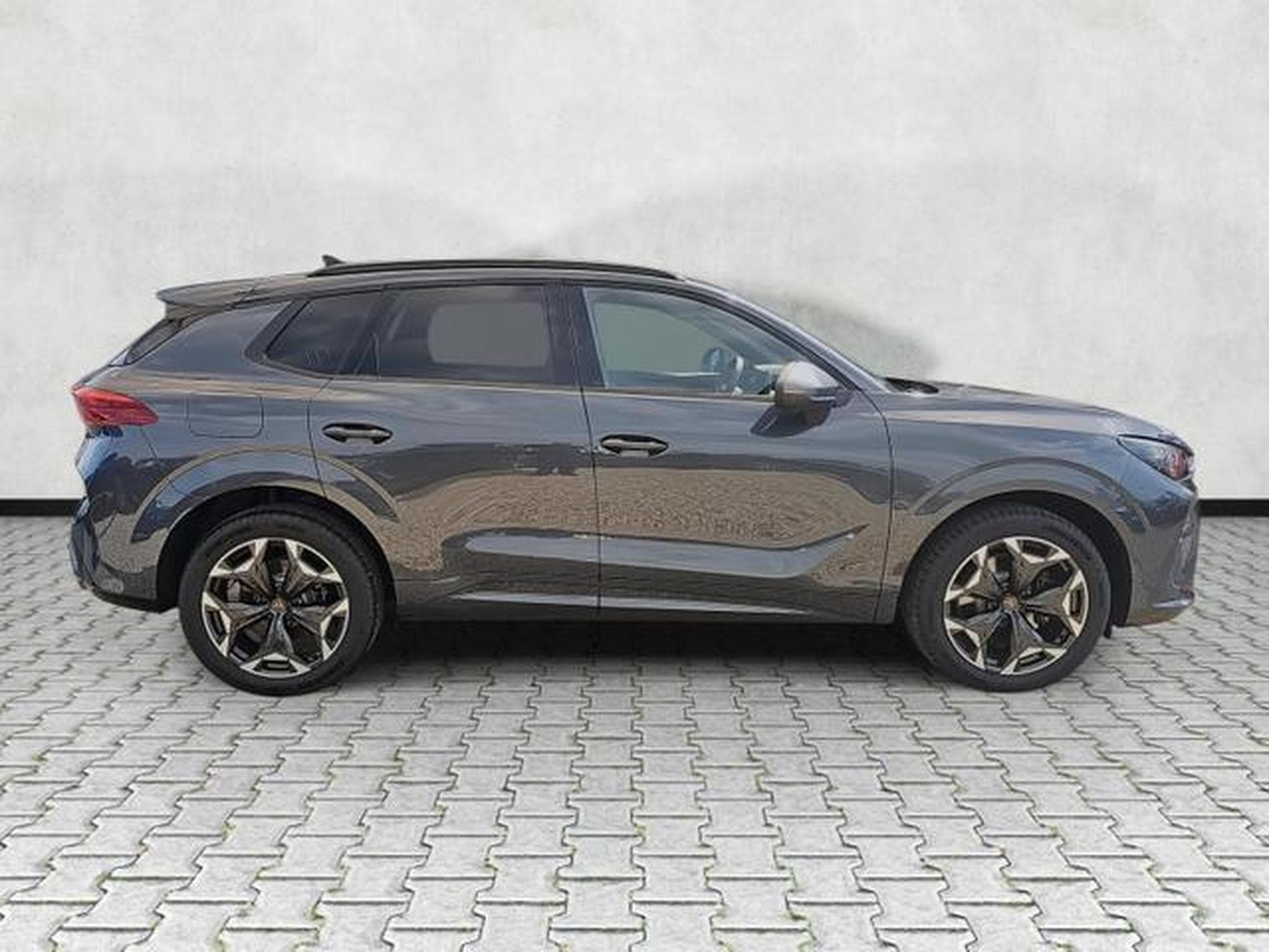 Cupra Terramar 2.0 TSI 195 kW 4Drive VZ (2026) - Photo 8