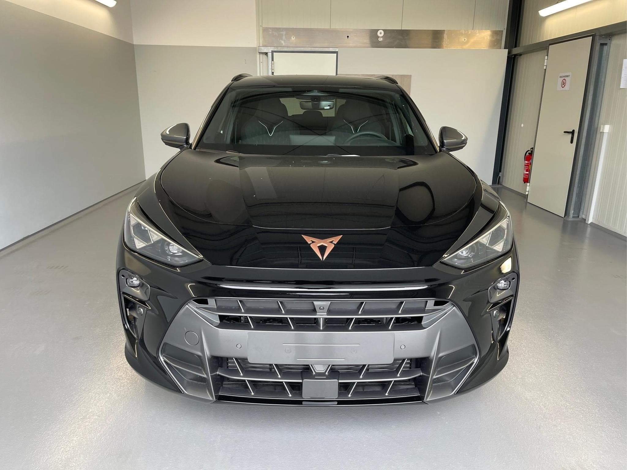 Cupra Terramar Terramar (2026) - Photo 2