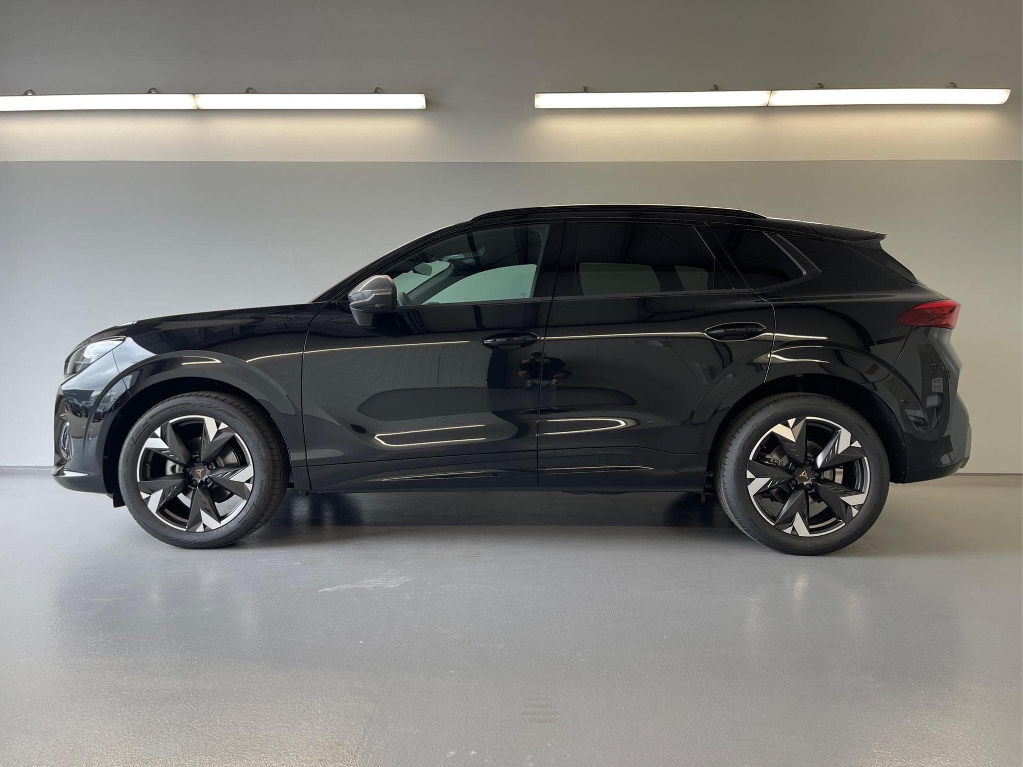 Cupra Terramar Terramar (2026) - Photo 3