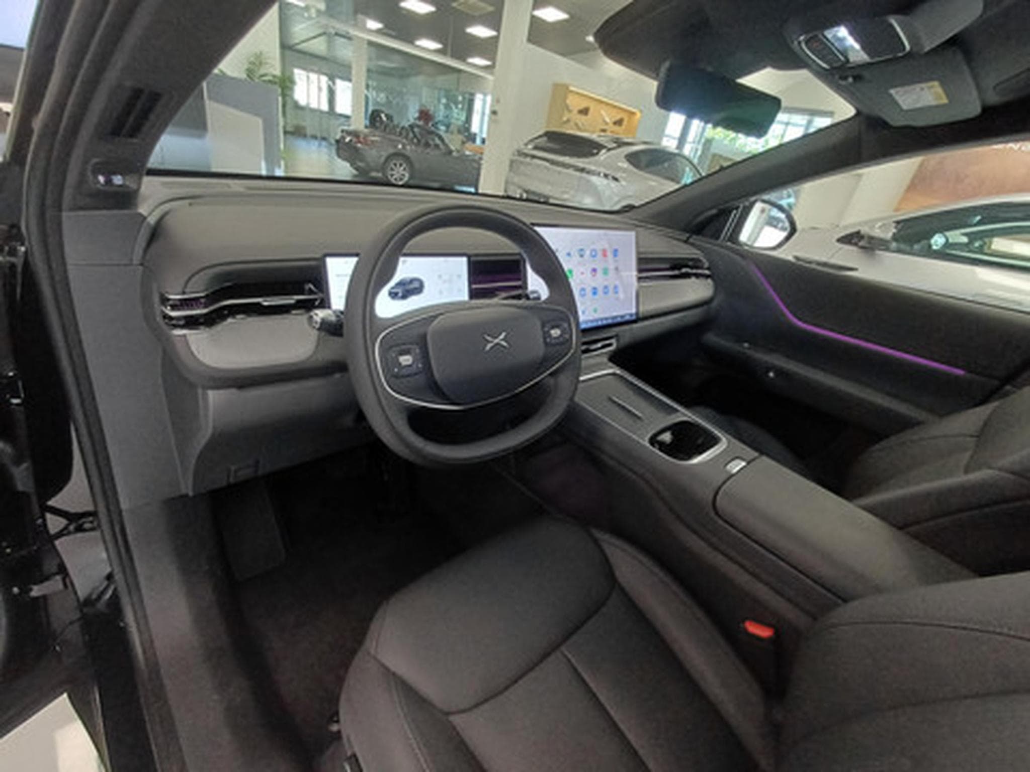 Xpeng G6 Performance AWD (2026) - Photo 10