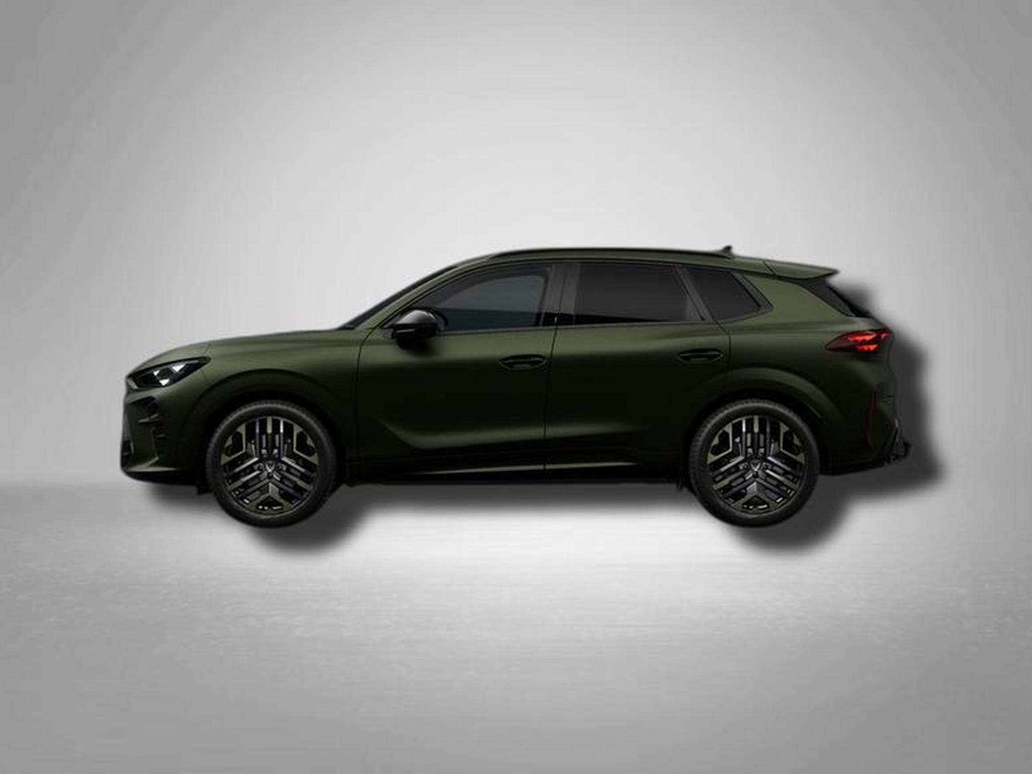 Cupra Terramar VZ Tribe Edition 2.0 TSI 7-Gang-DSG 4Drive (2026) - Photo 2
