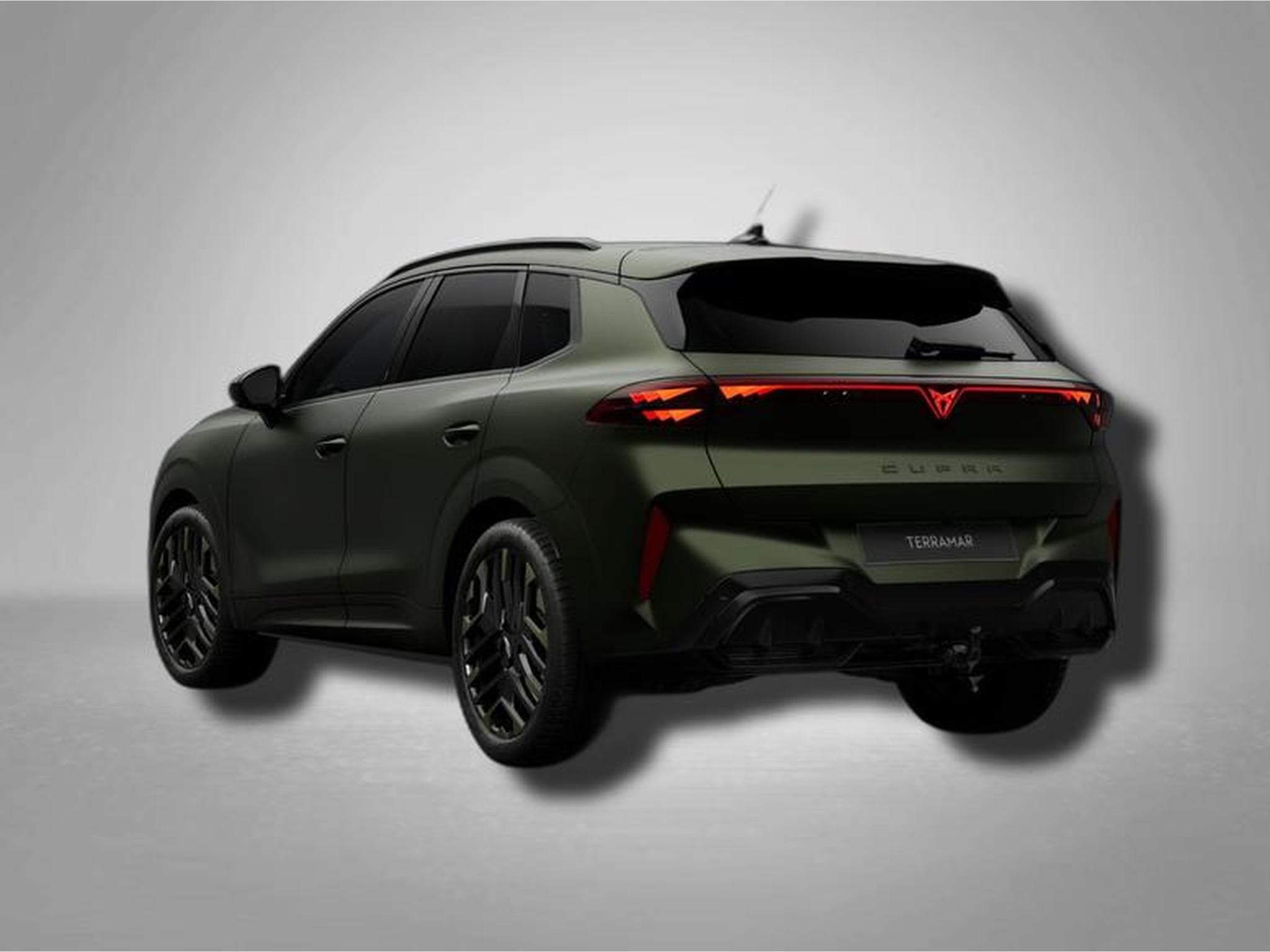 Cupra Terramar VZ Tribe Edition 2.0 TSI 7-Gang-DSG 4Drive (2026) - Photo 3