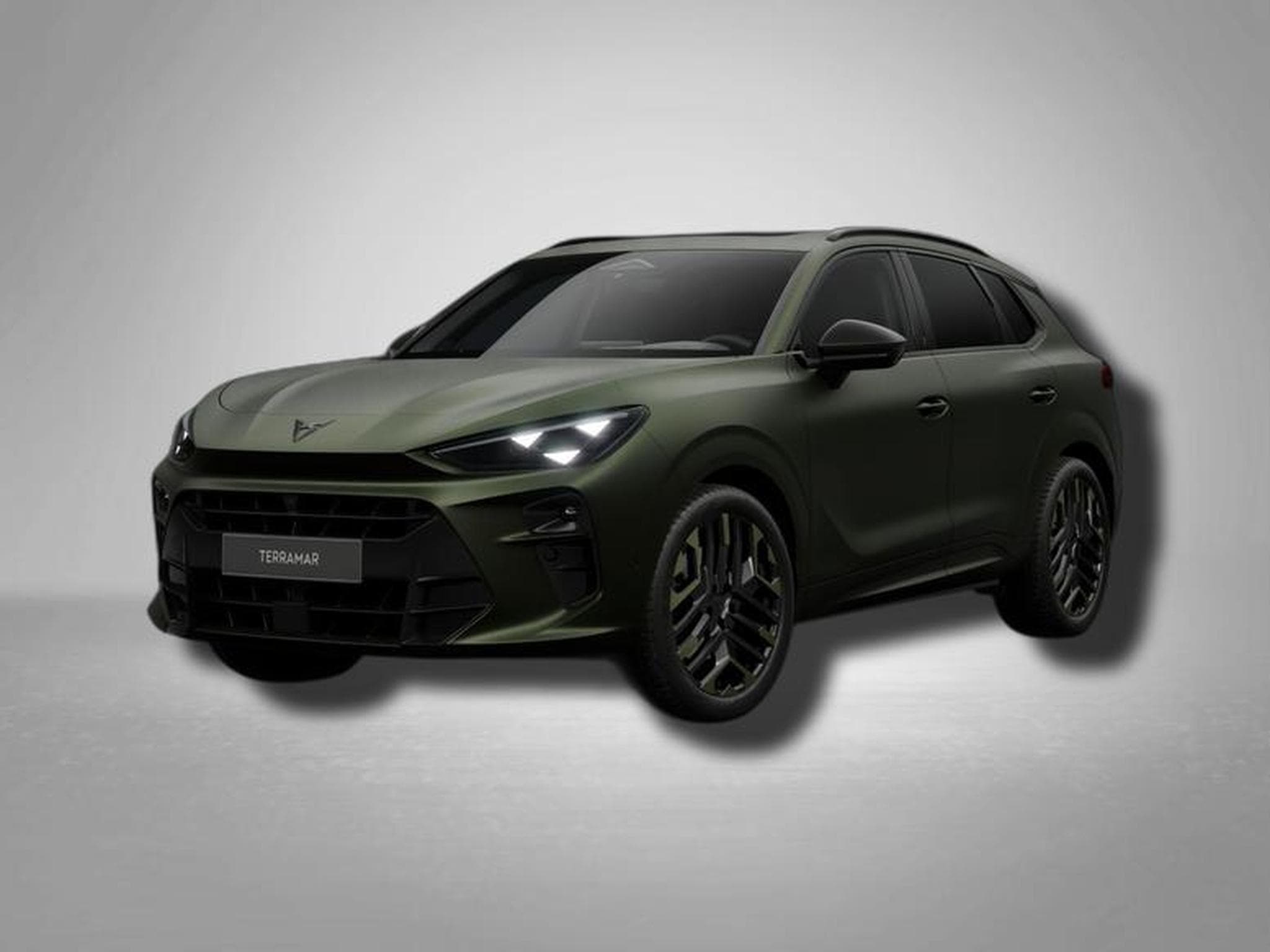 Cupra Terramar VZ Tribe Edition 2.0 TSI 7-Gang-DSG 4Drive (2026) - Photo 1