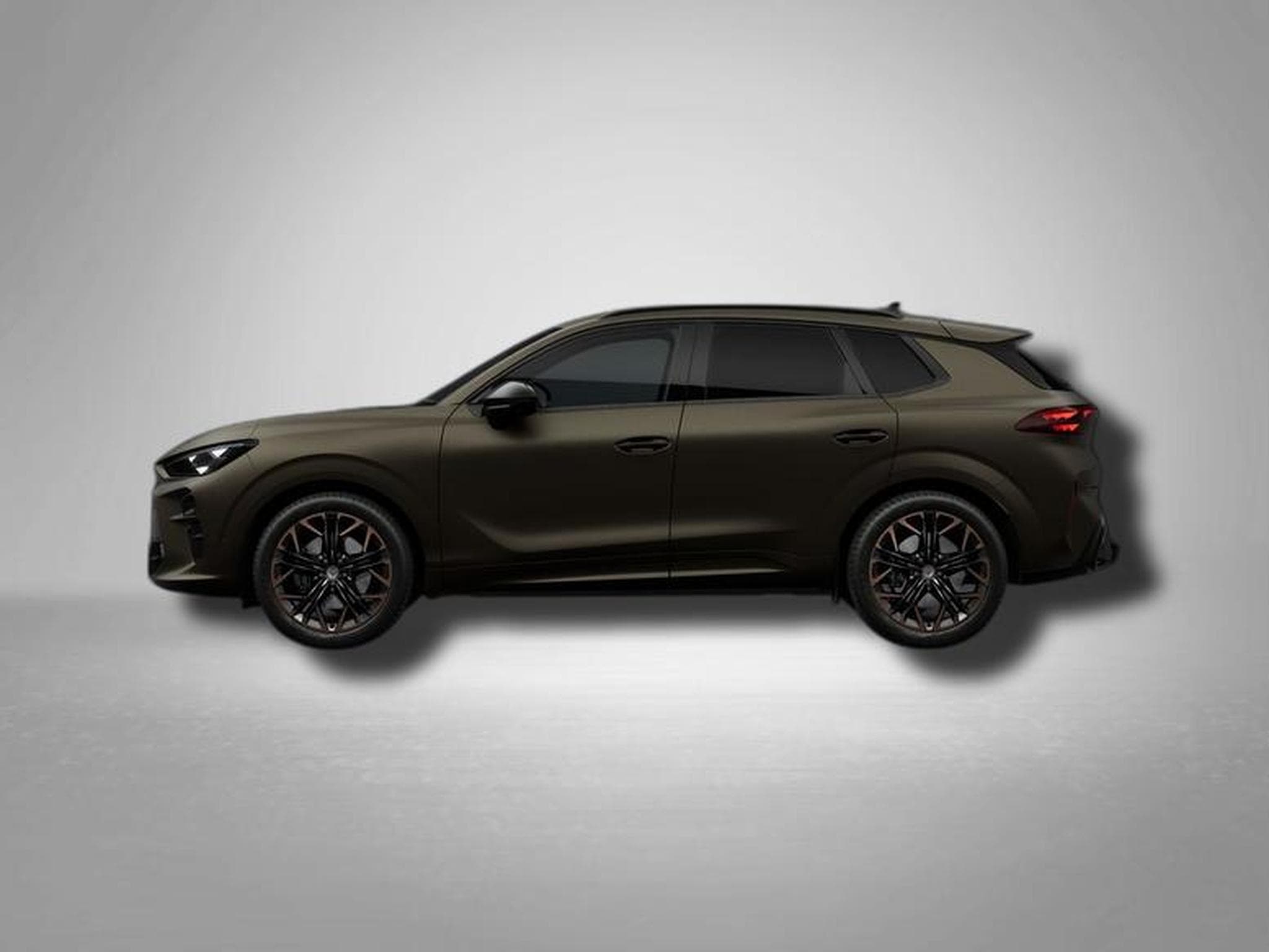 Cupra Terramar VZ 2.0 TSI 7-Gang-DSG 4Drive (2026) - Photo 2
