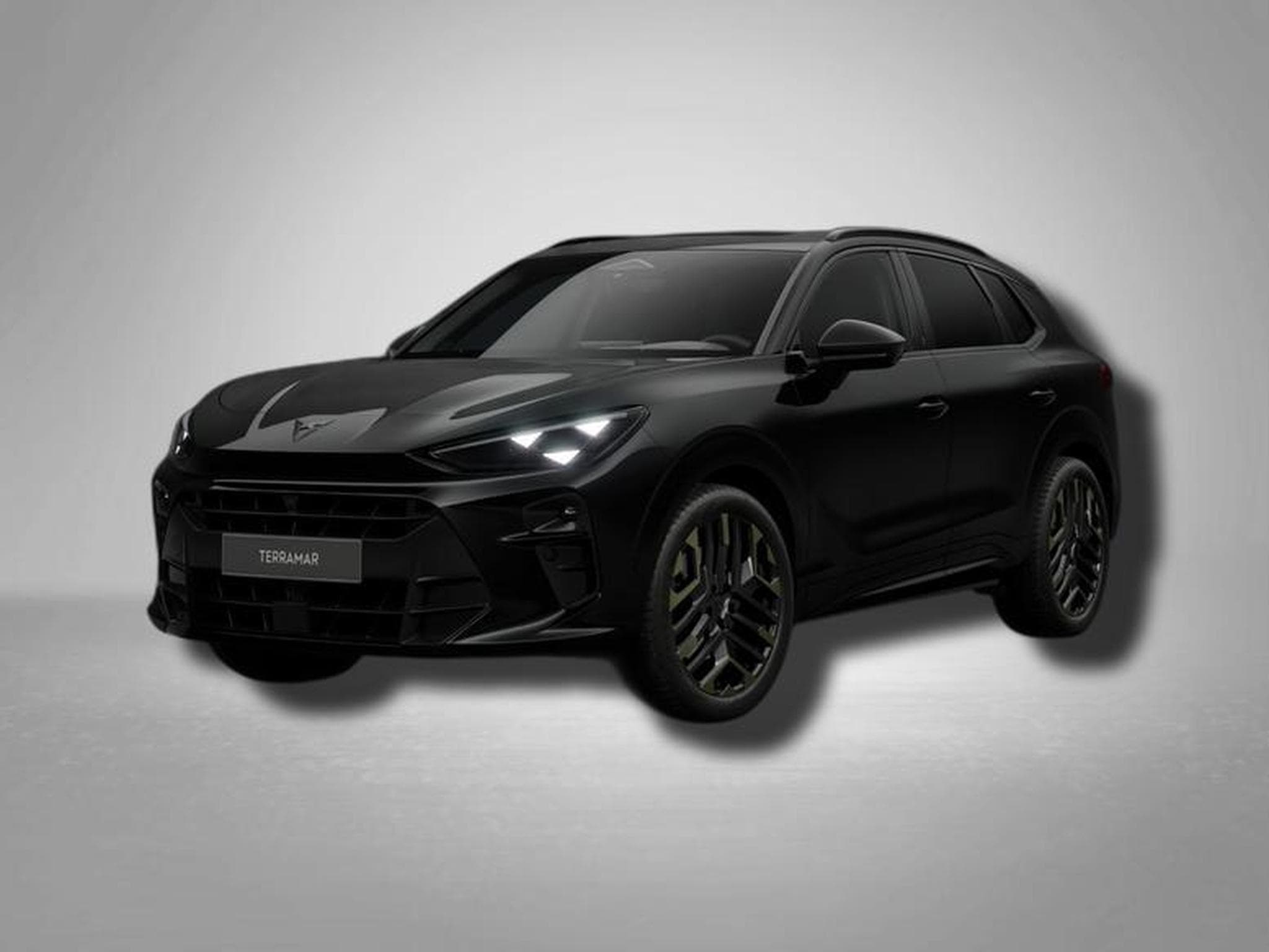 Cupra Terramar VZ Tribe Edition 2.0 TSI 7-Gang-DSG 4Drive (2026) - Photo 1