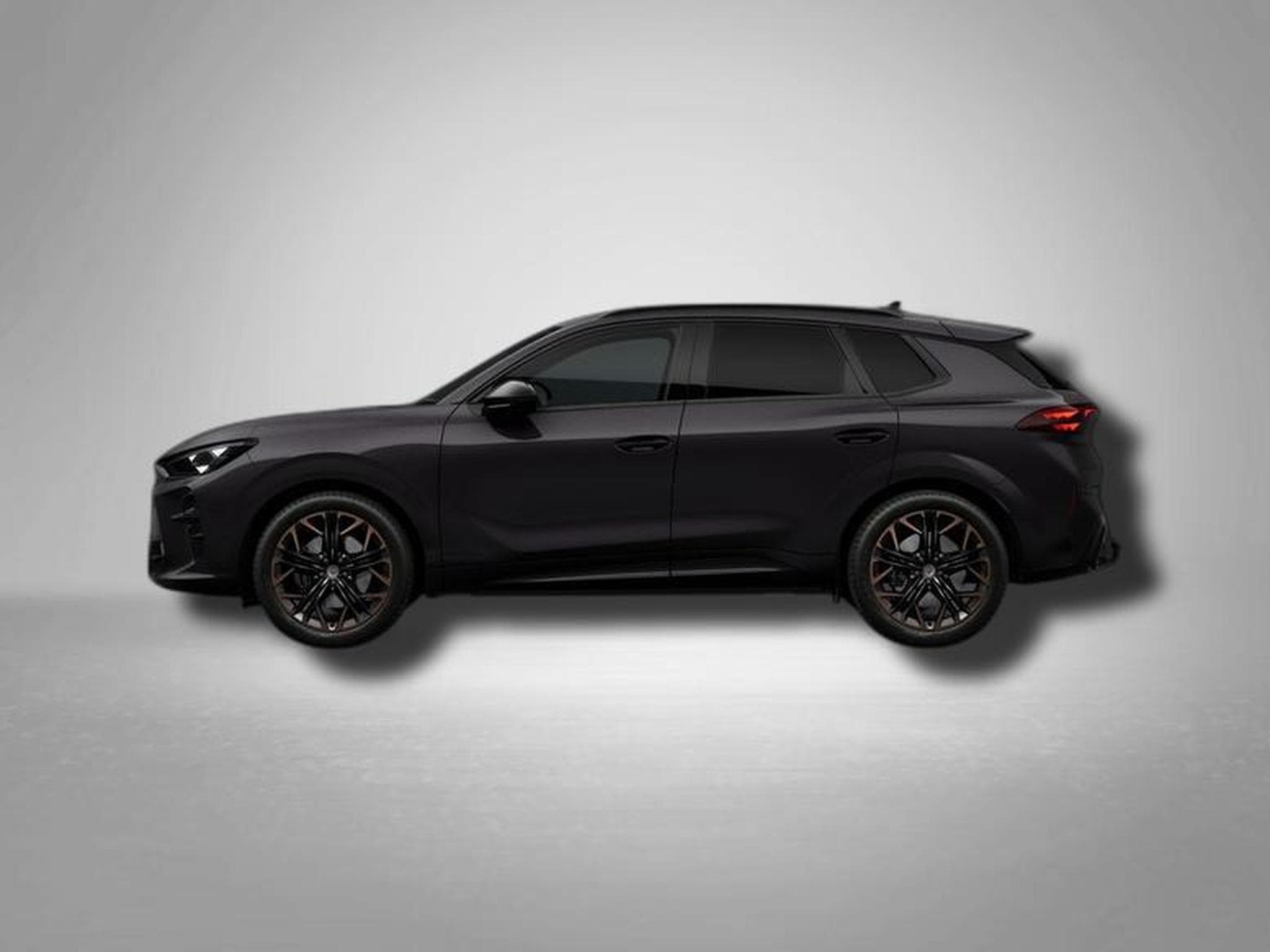 Cupra Terramar VZ 2.0 TSI 7-Gang-DSG 4Drive (2026) - Photo 2