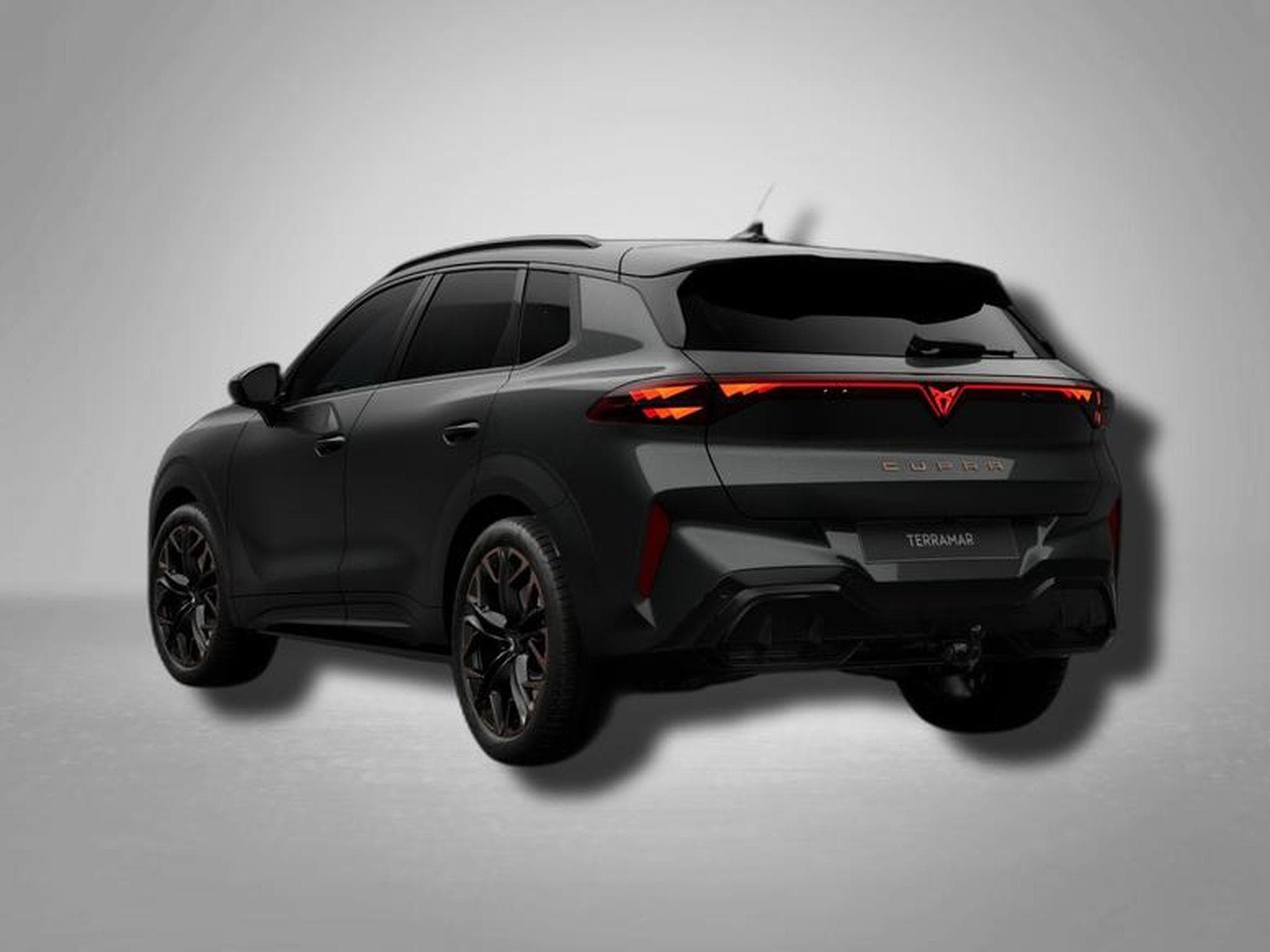Cupra Terramar VZ 2.0 TSI 7-Gang-DSG 4Drive (2026) - Photo 3