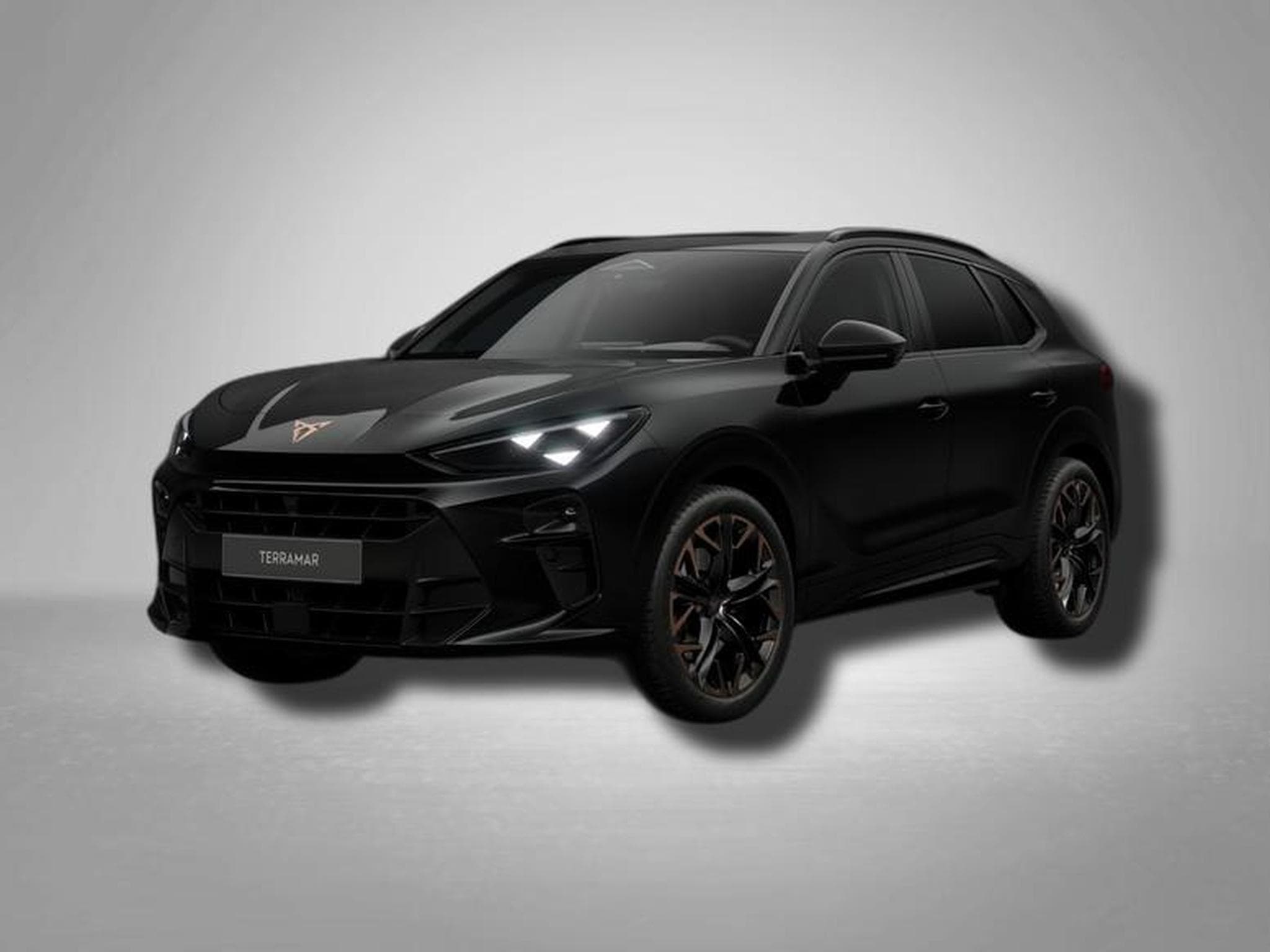 Cupra Terramar VZ 2.0 TSI 7-Gang-DSG 4Drive (2026) - Photo 1