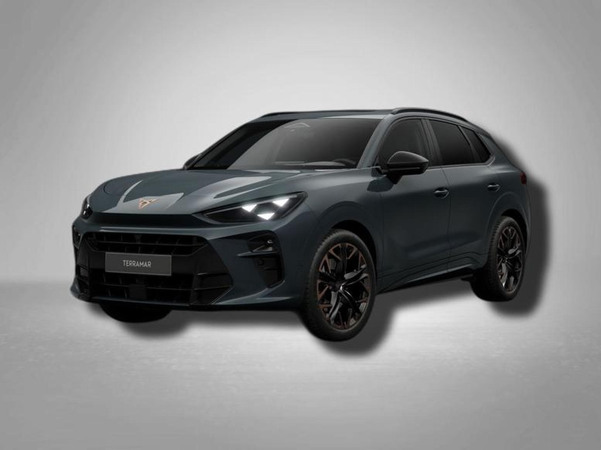 Cupra Terramar VZ 2.0 TSI 7-Gang-DSG 4Drive (2026) - Photo 1