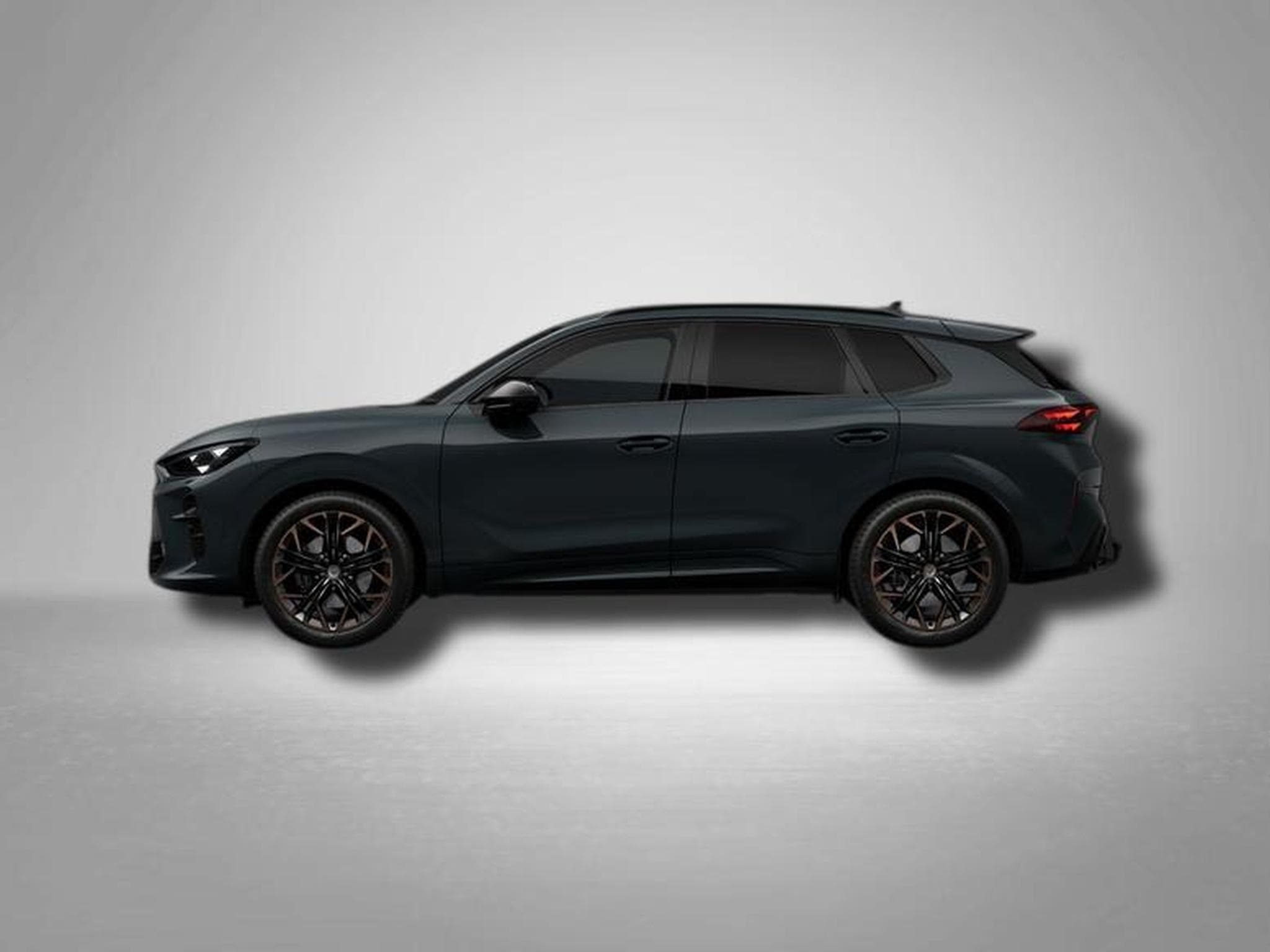 Cupra Terramar VZ 2.0 TSI 7-Gang-DSG 4Drive (2026) - Photo 2