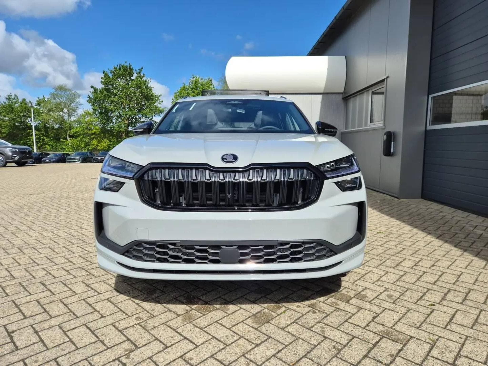 Skoda Kodiaq Sportline (2026) - Photo 9