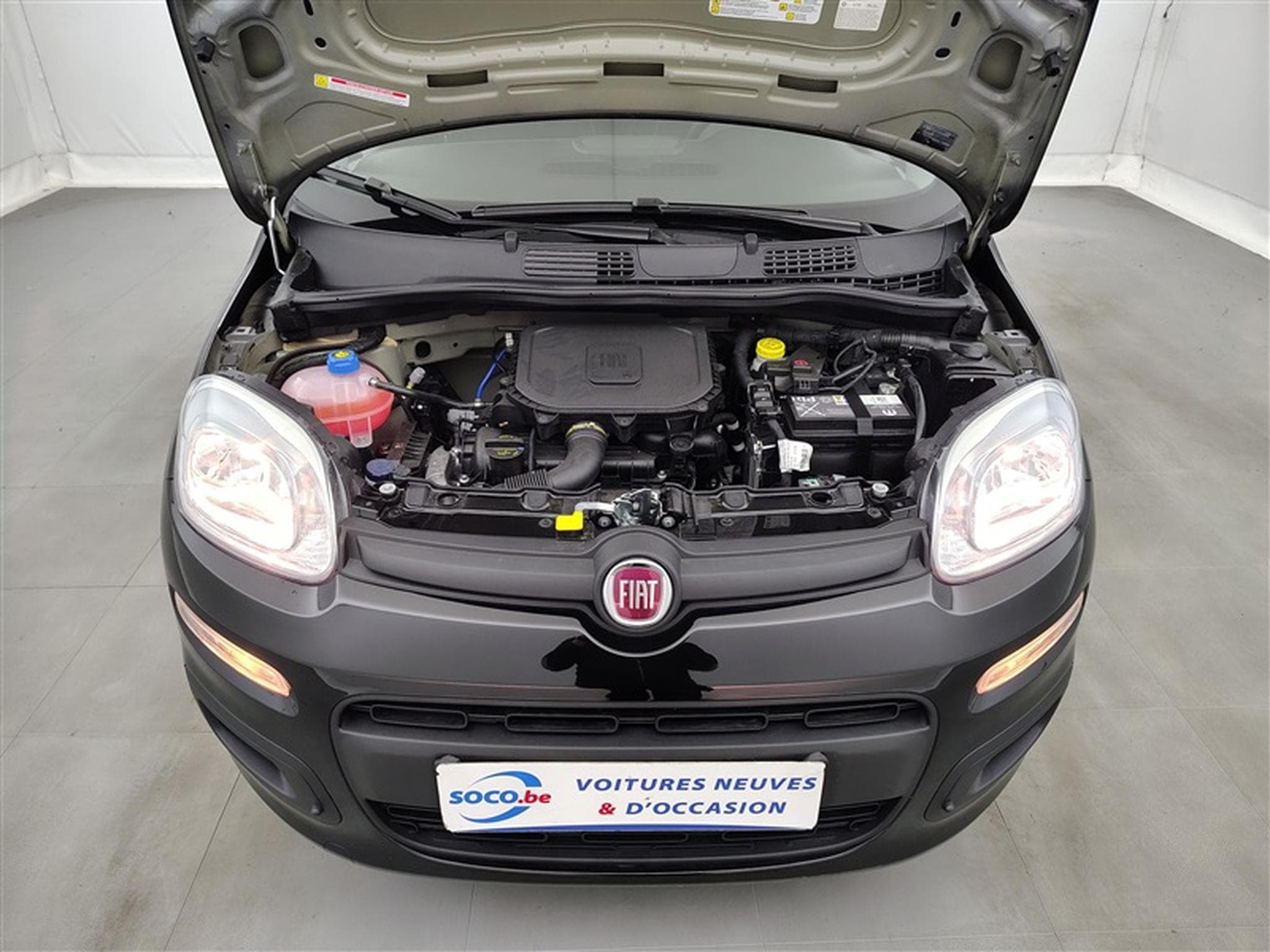 Fiat Panda 1.0i MHEV City Life CLIM / PDC AR (2025) - Photo 17