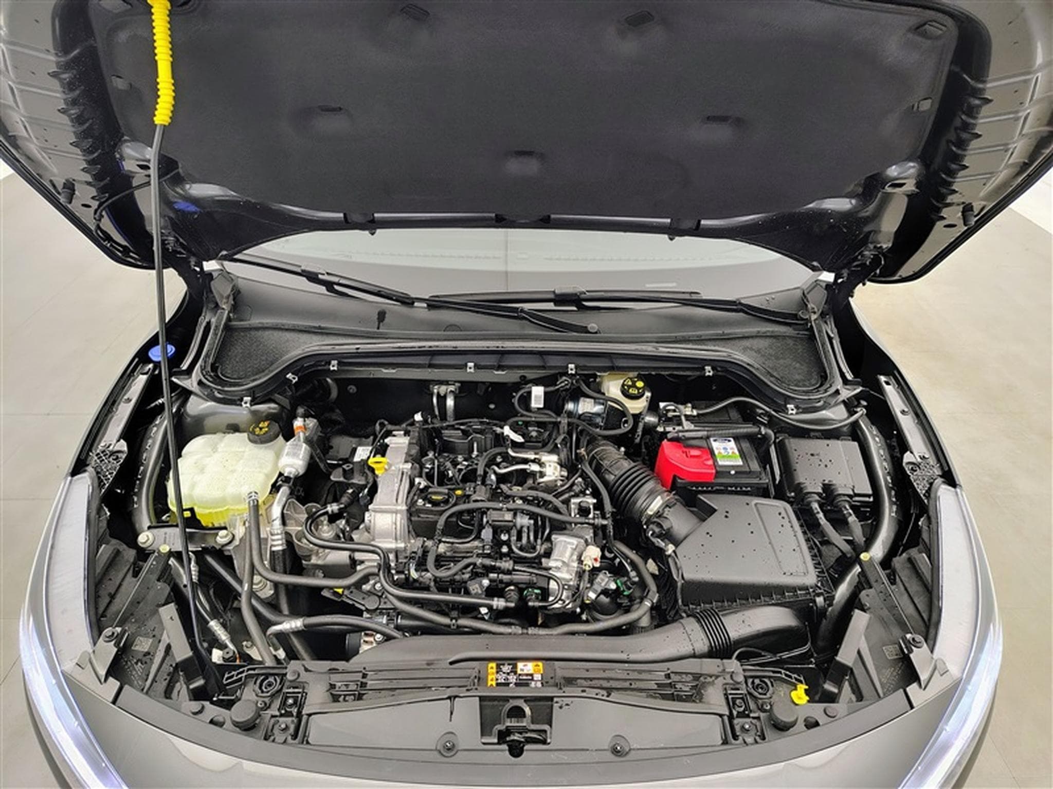 Ford Focus 1.0 EcoBoost 155Cv Titanium X Navi / PDC av+ar (2025) - Photo 19
