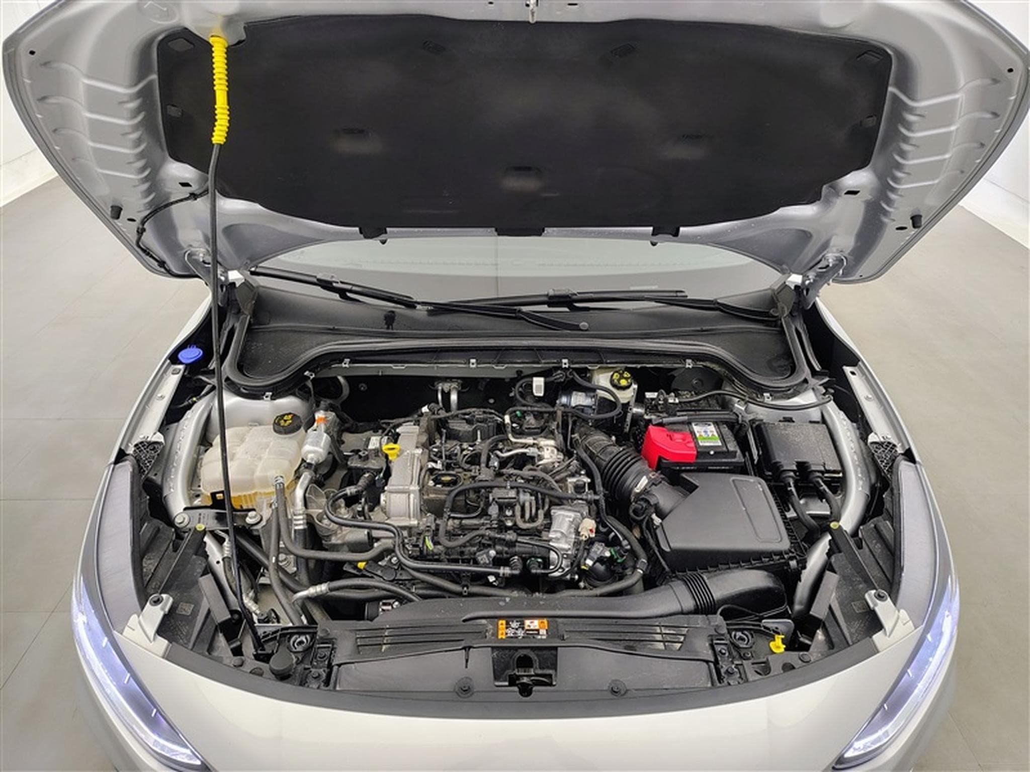 Ford Focus CLIM/NAVI/PDC (2024) - Photo 19