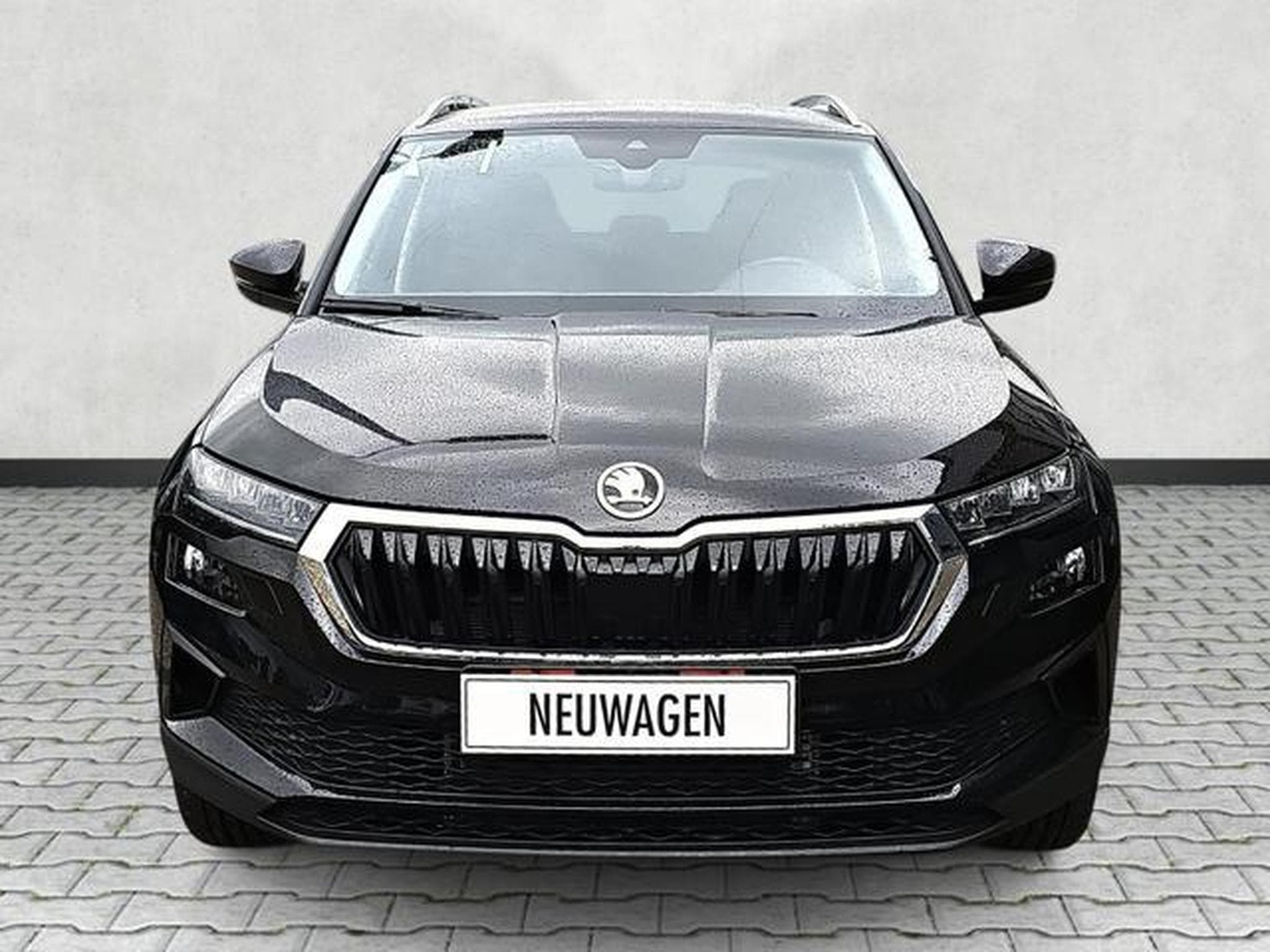 Skoda Karoq Selection (2026) - Photo 2