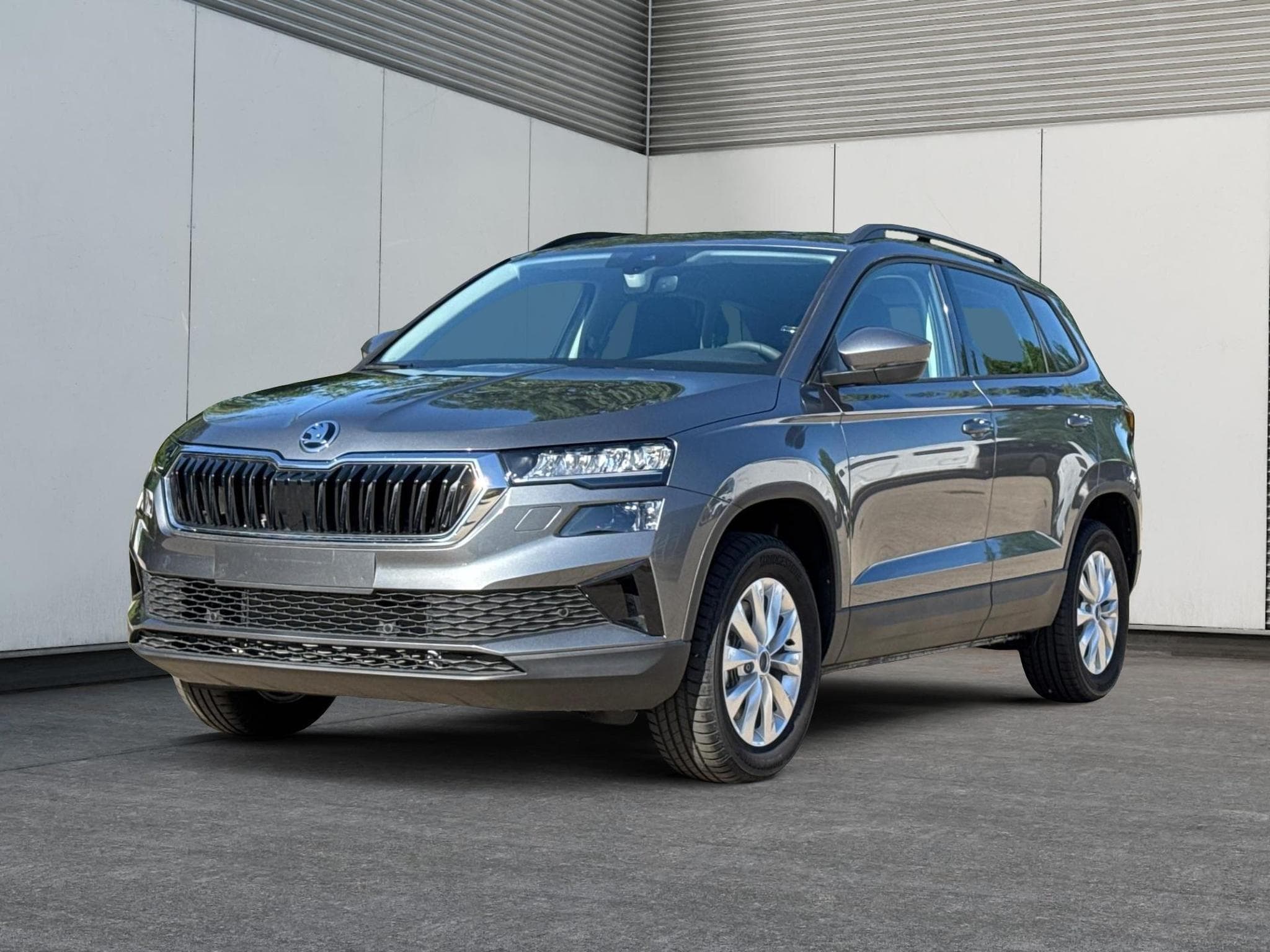 Skoda Karoq Selection (2026) - Photo 1