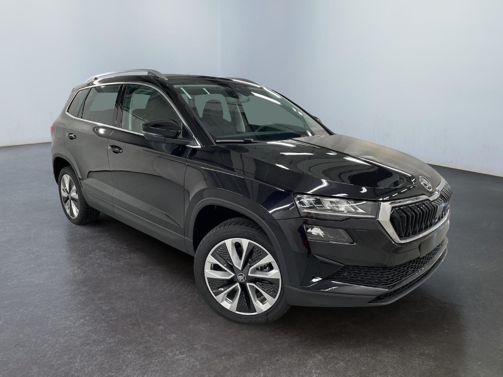 Skoda Karoq Selection (2026) - Photo 1