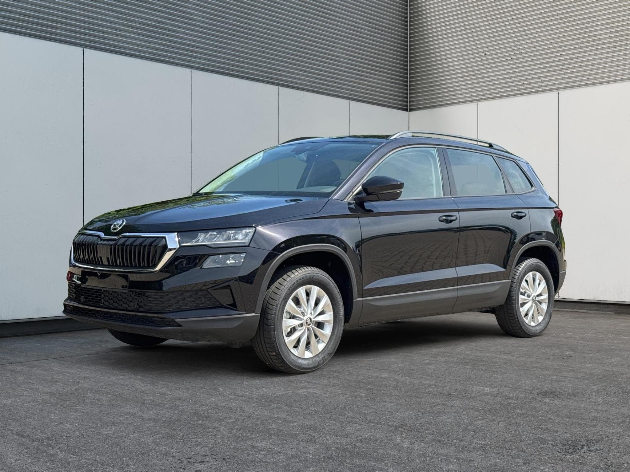 Skoda Karoq Selection (2026) - Photo 1