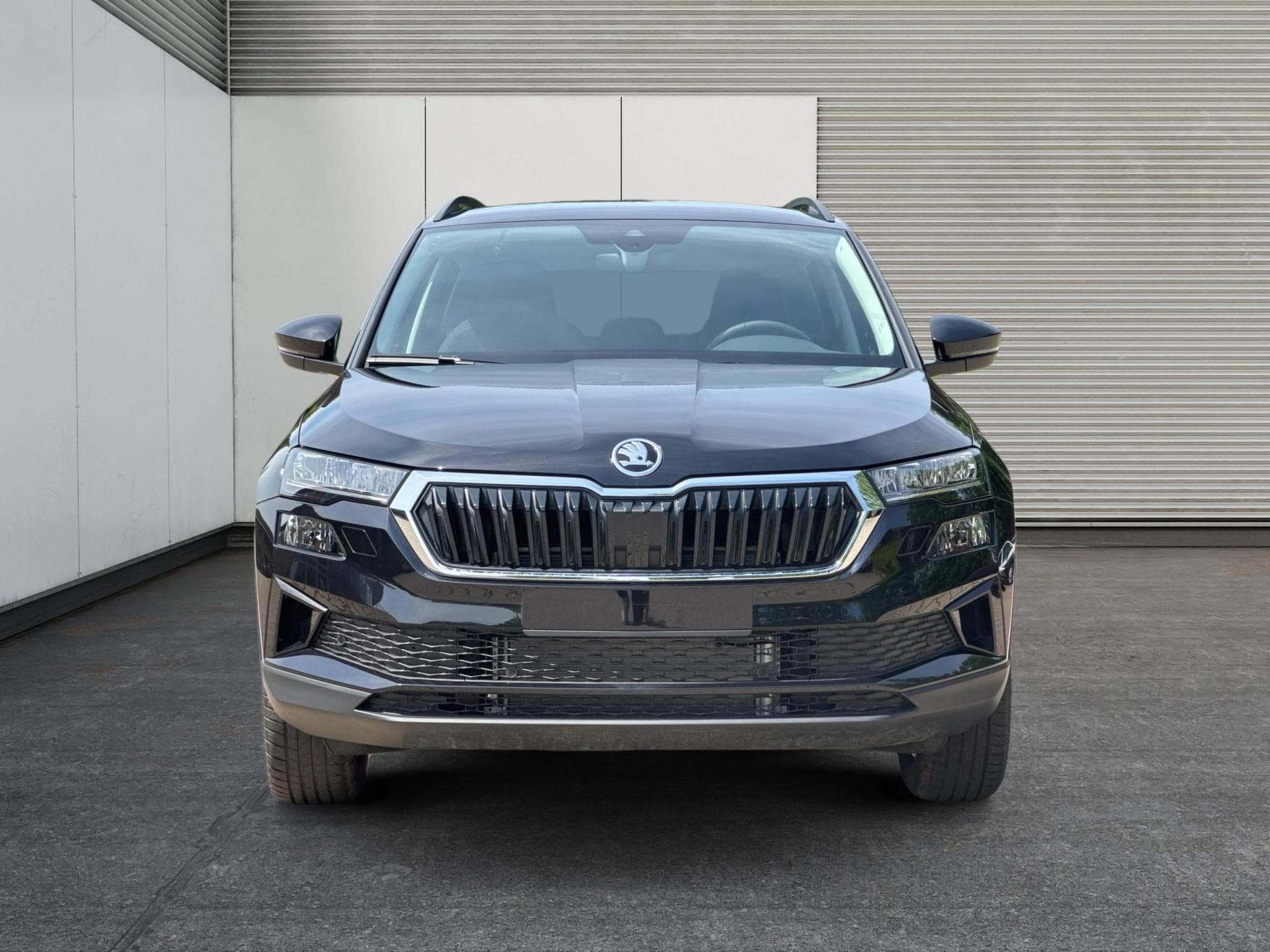 Skoda Karoq Selection (2026) - Photo 6