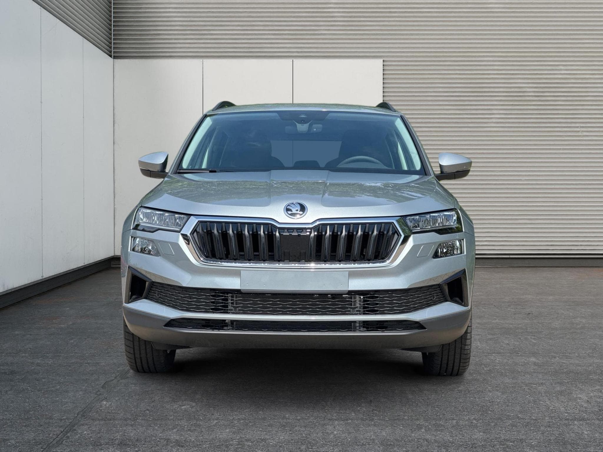 Skoda Karoq Selection (2026) - Photo 6