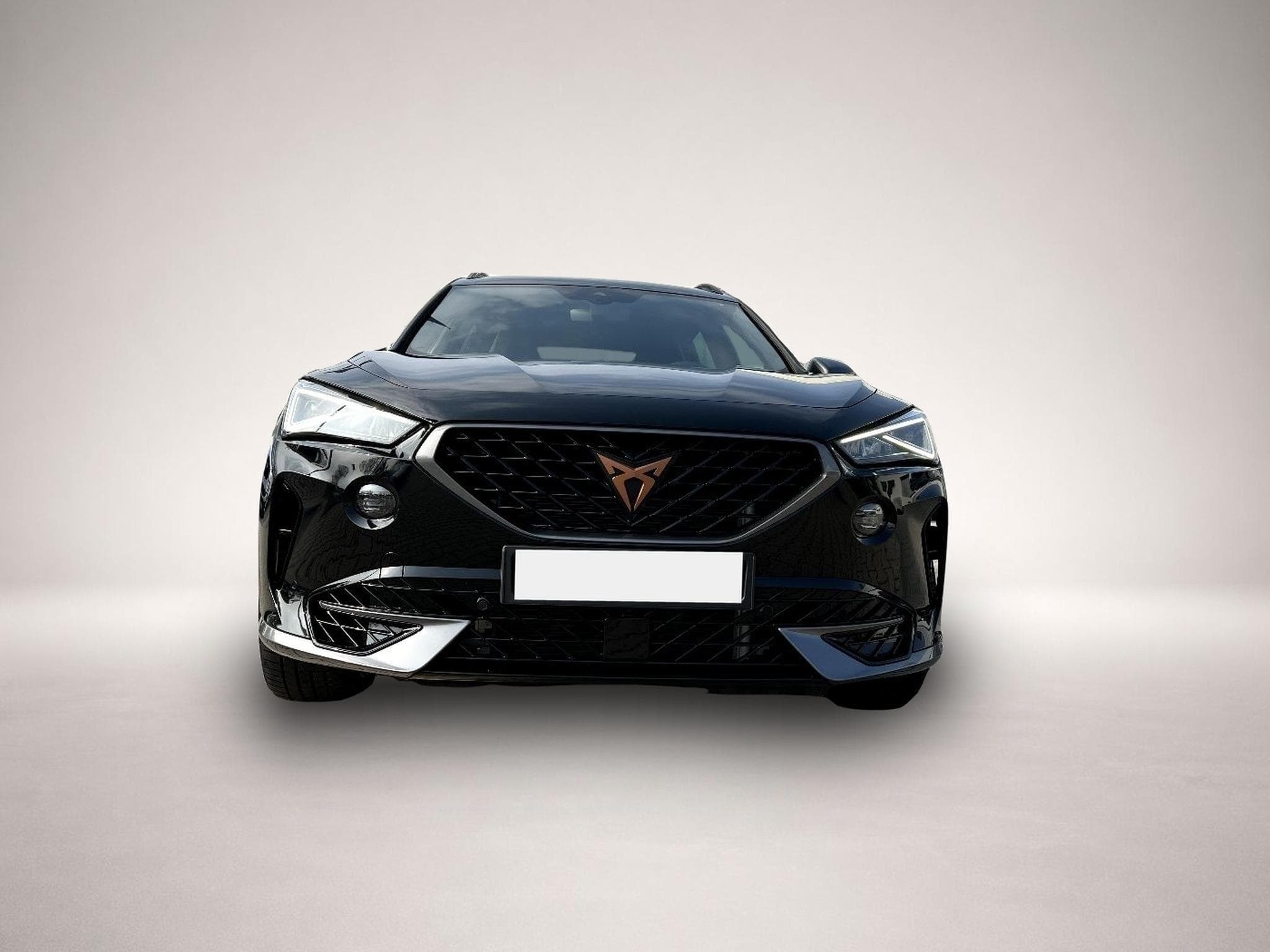 Cupra Formentor (2022) - Photo 6