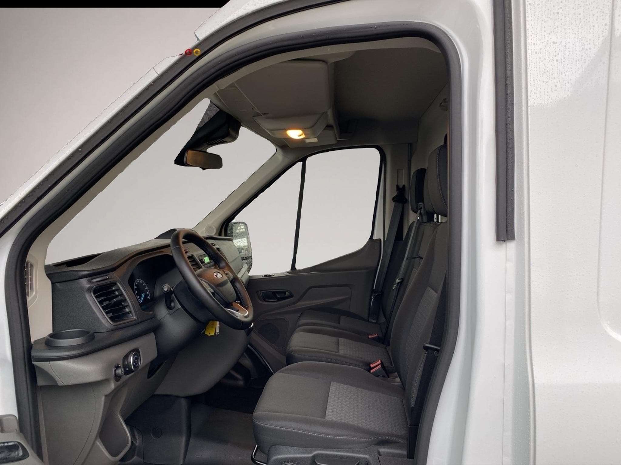 Ford Transit (2024) - Photo 7