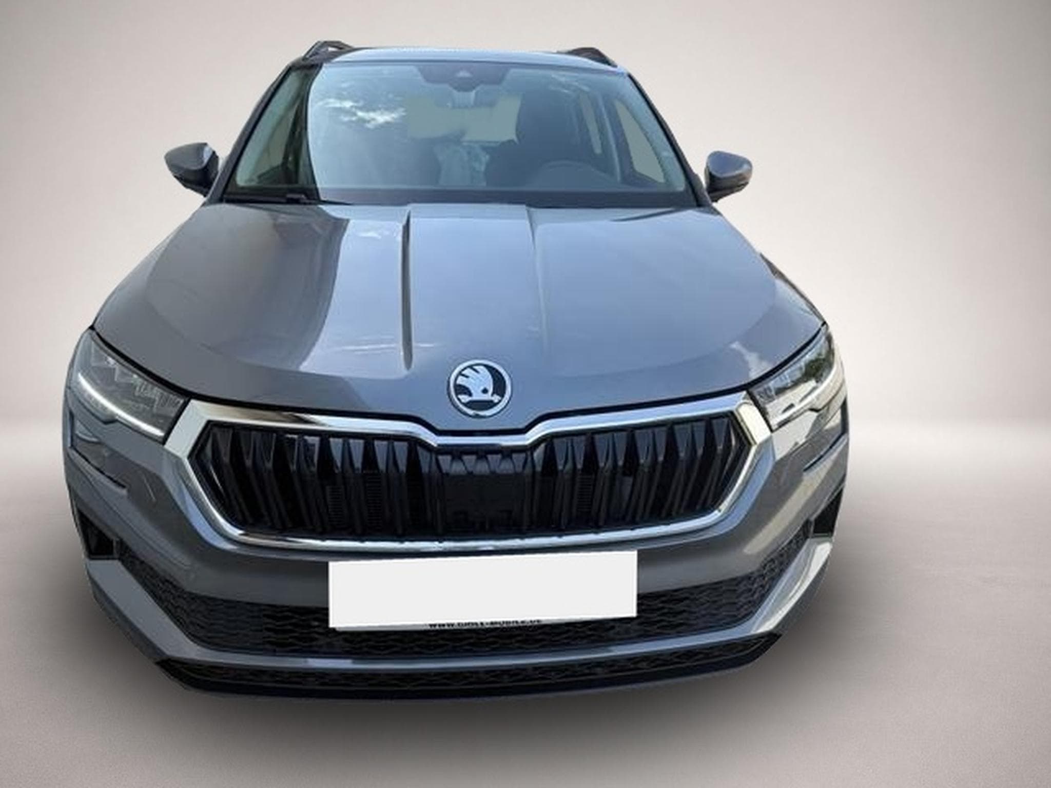 Skoda Karoq (2025) - Photo 4